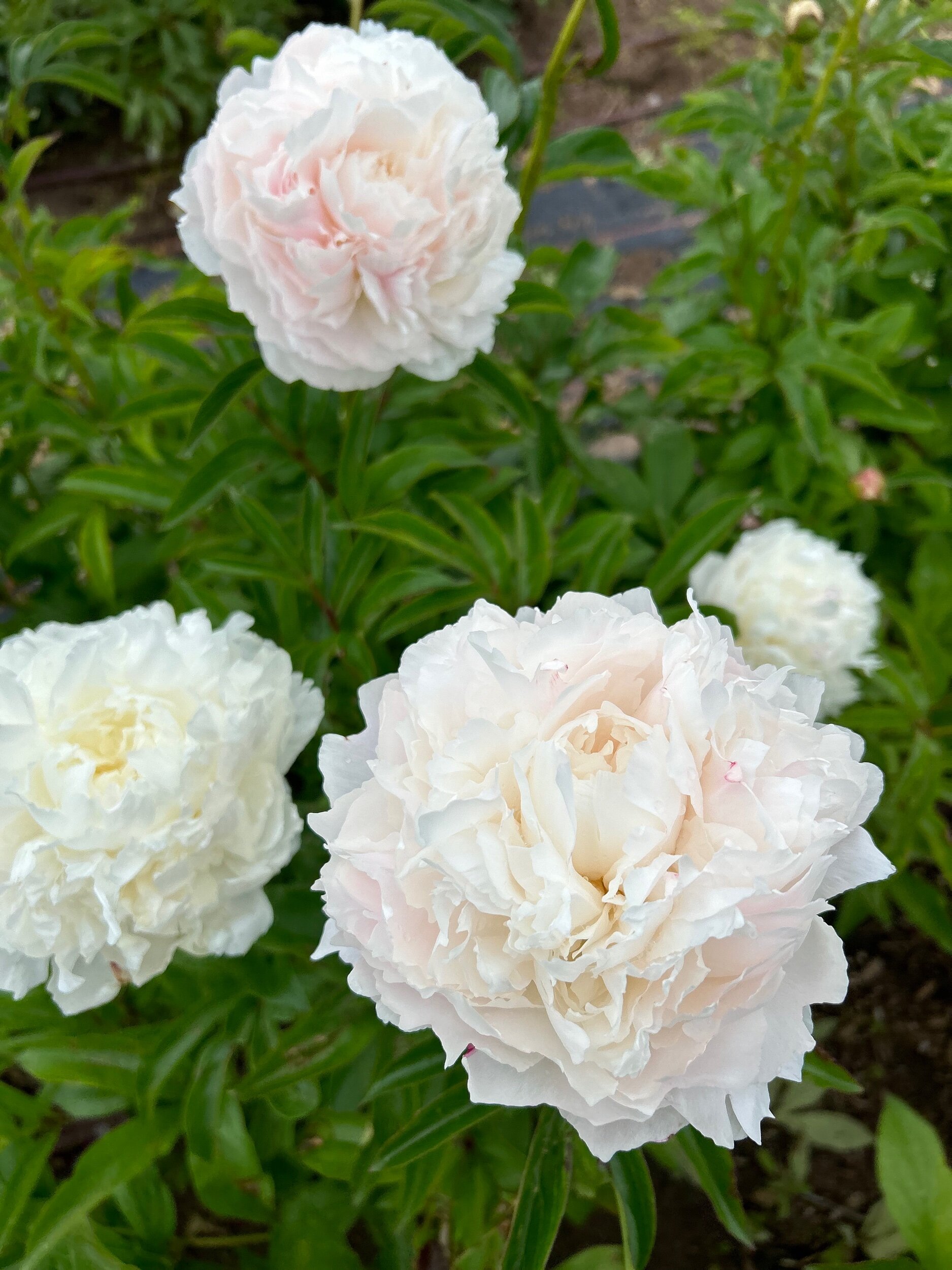 3878A5C5-75AF-46DD-A206-01708B5E458F