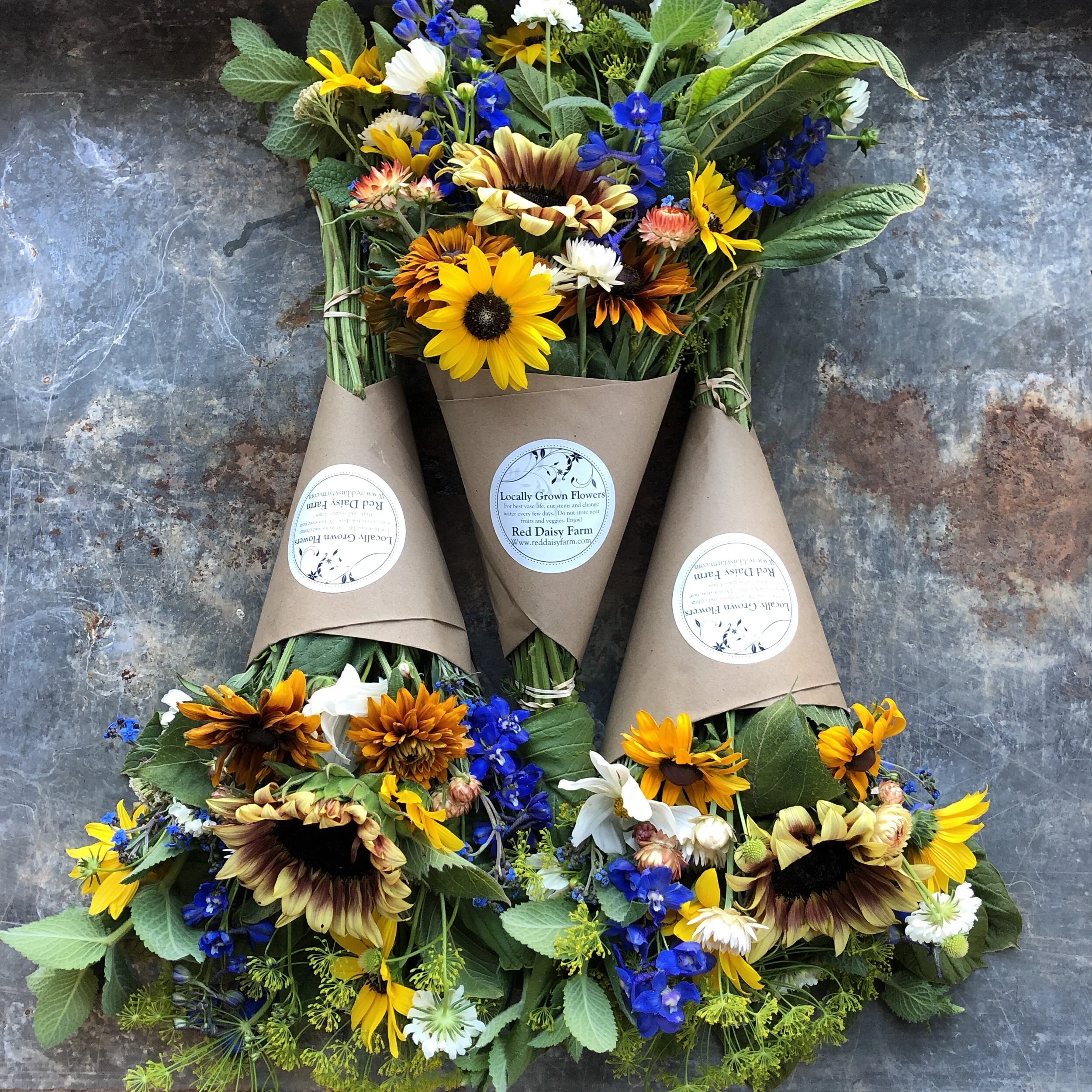 C0ABEF37-38F6-421B-9876-120EC6C93FB0