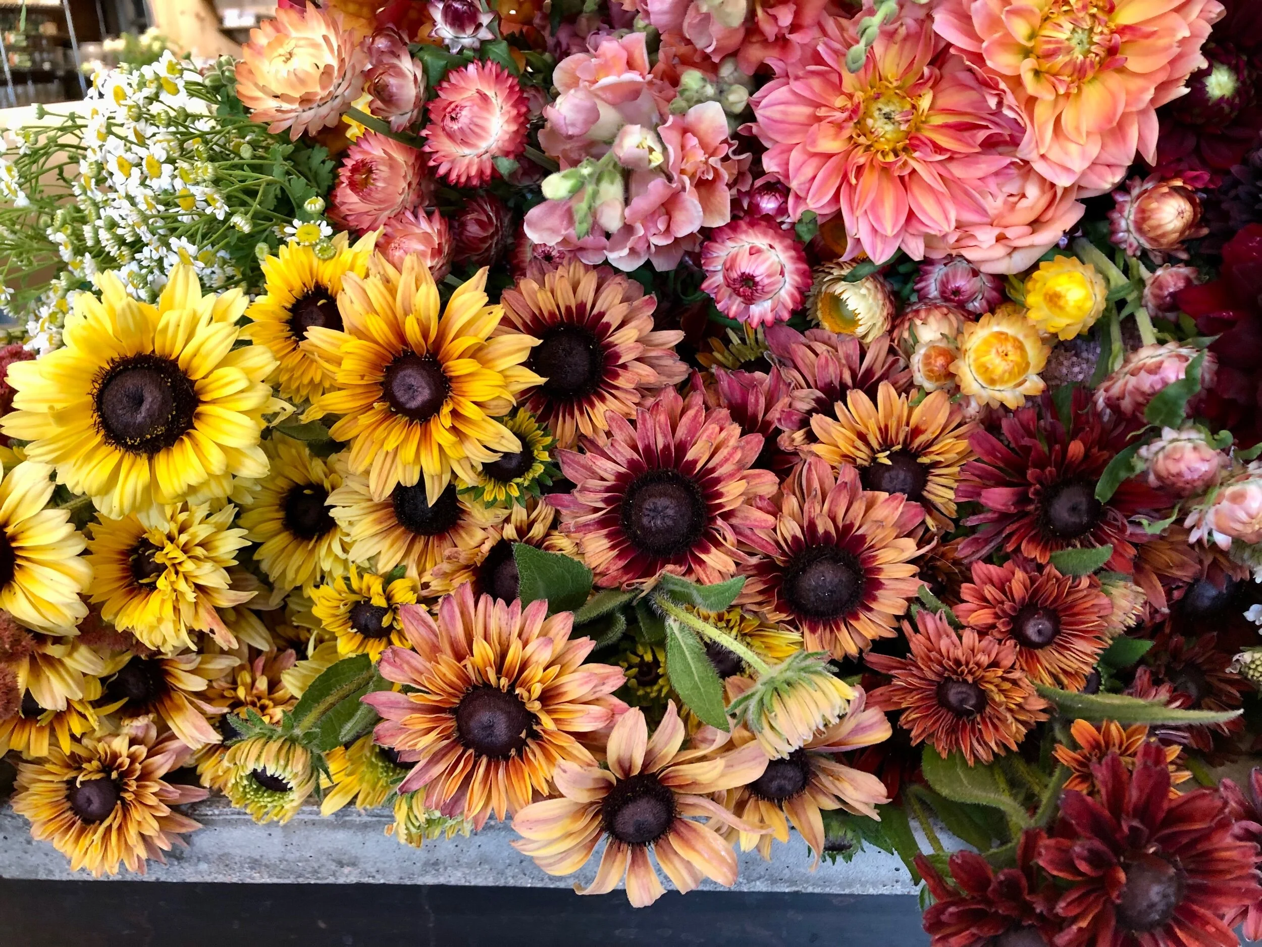 9A3579C0-890D-4D47-903D-AE0F1014C665