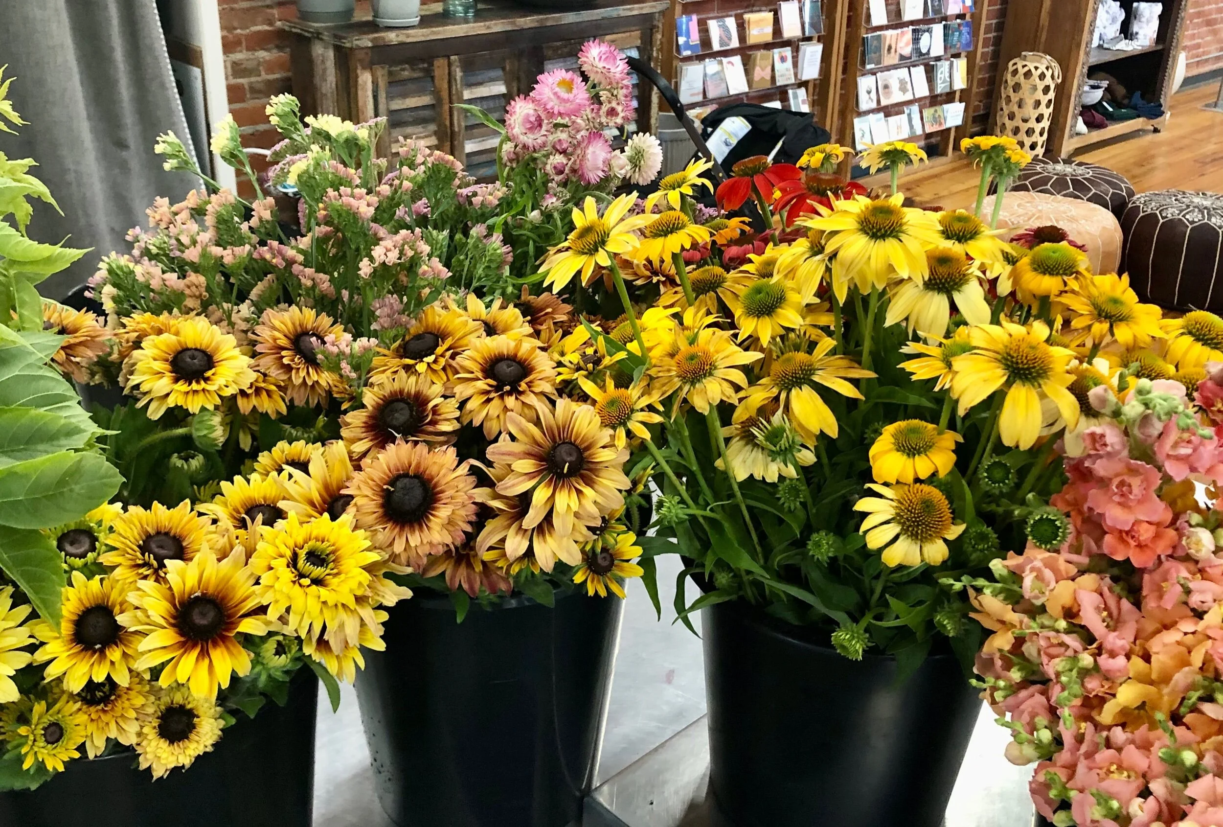 194B624E-02D7-4BED-8504-A00CF0E0974A