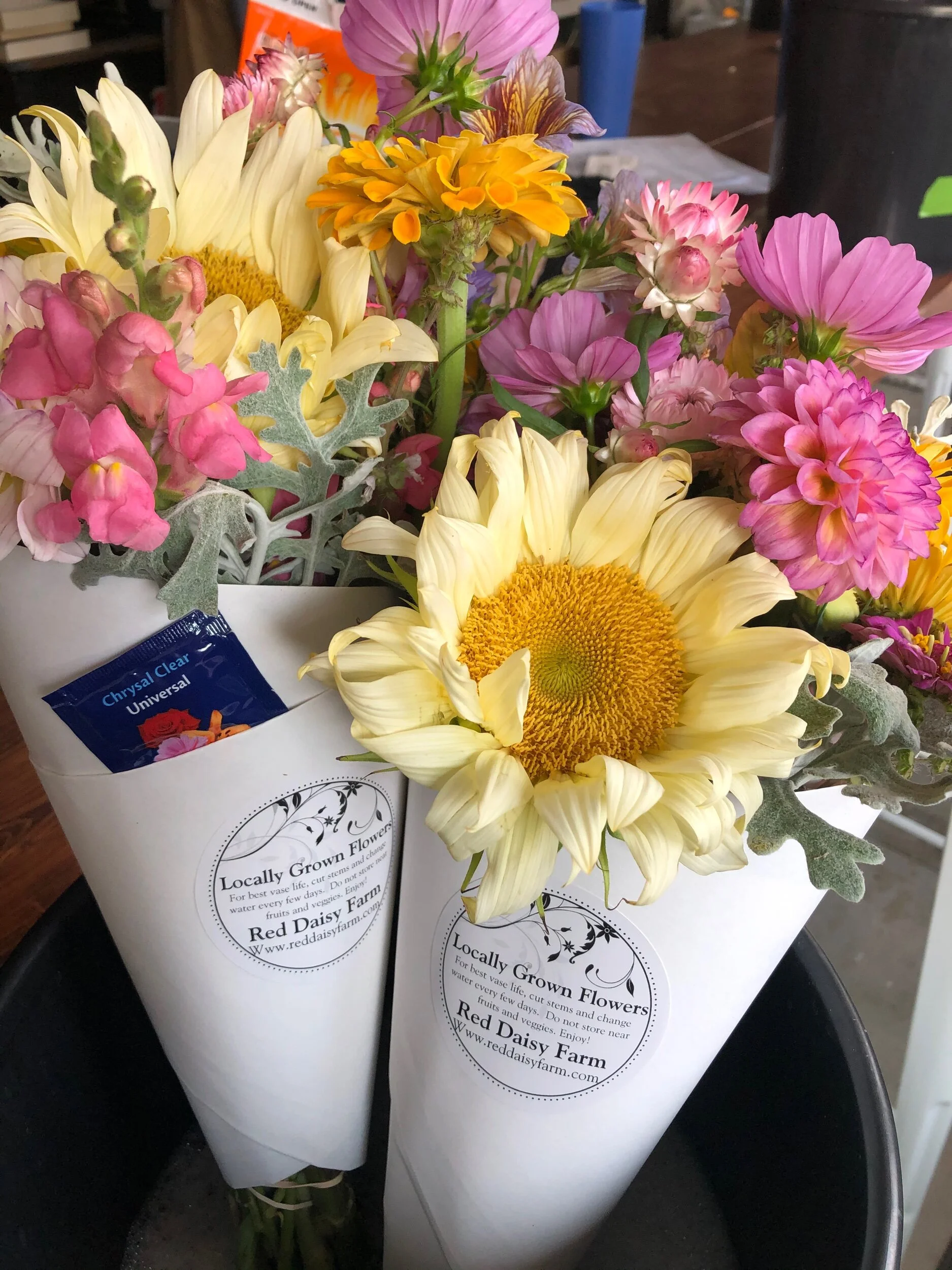 09B02D5A-FAF3-461E-8AE8-E9BAF749C85B