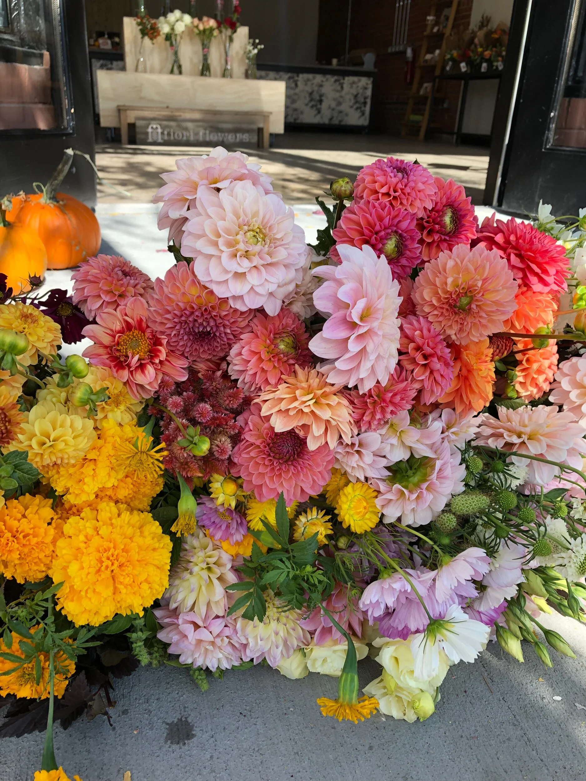 B70FA800-5FA4-4BA3-AAA8-F5B26046D8F7