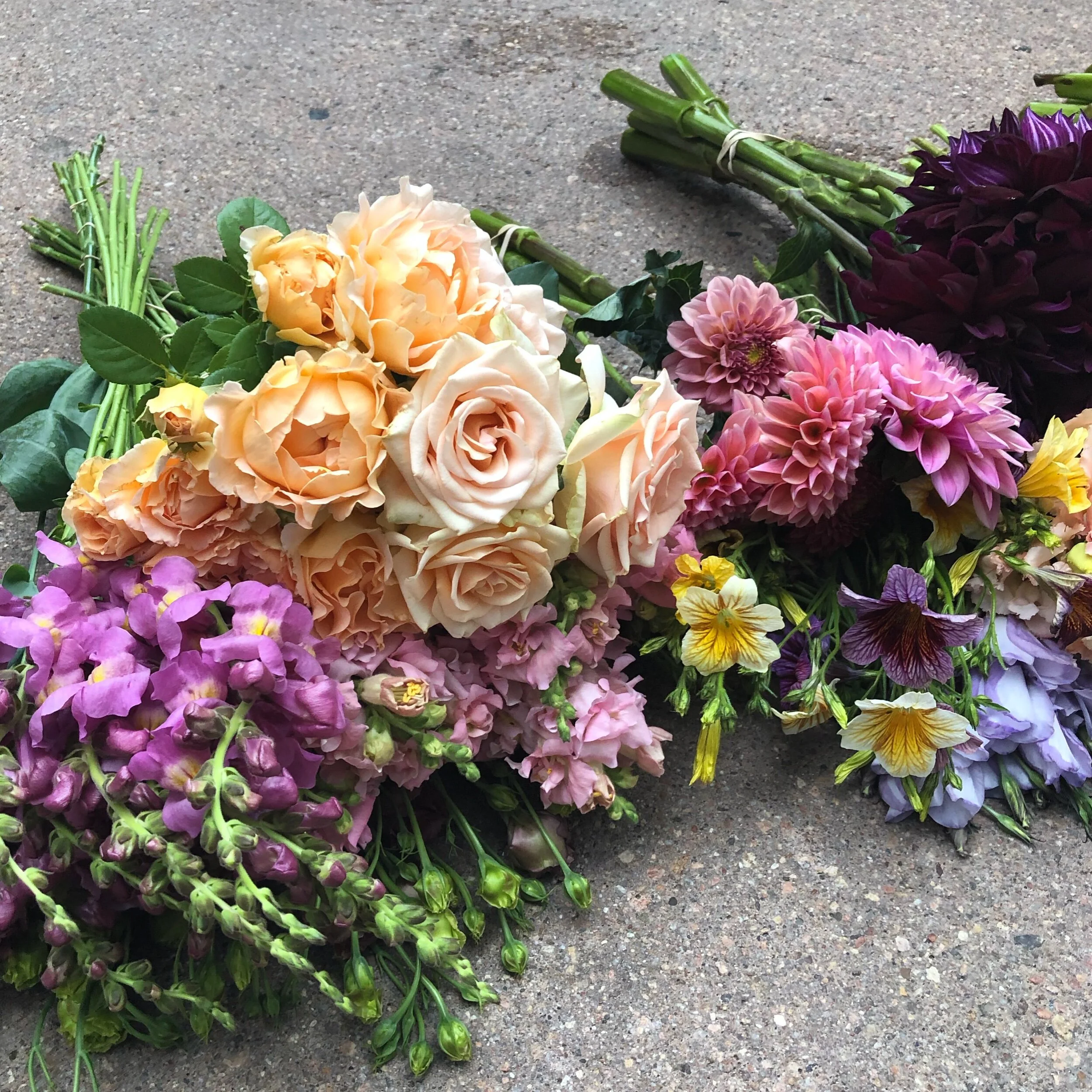 FE7E0045-DAA7-4116-BF63-EB03DC9A46AD