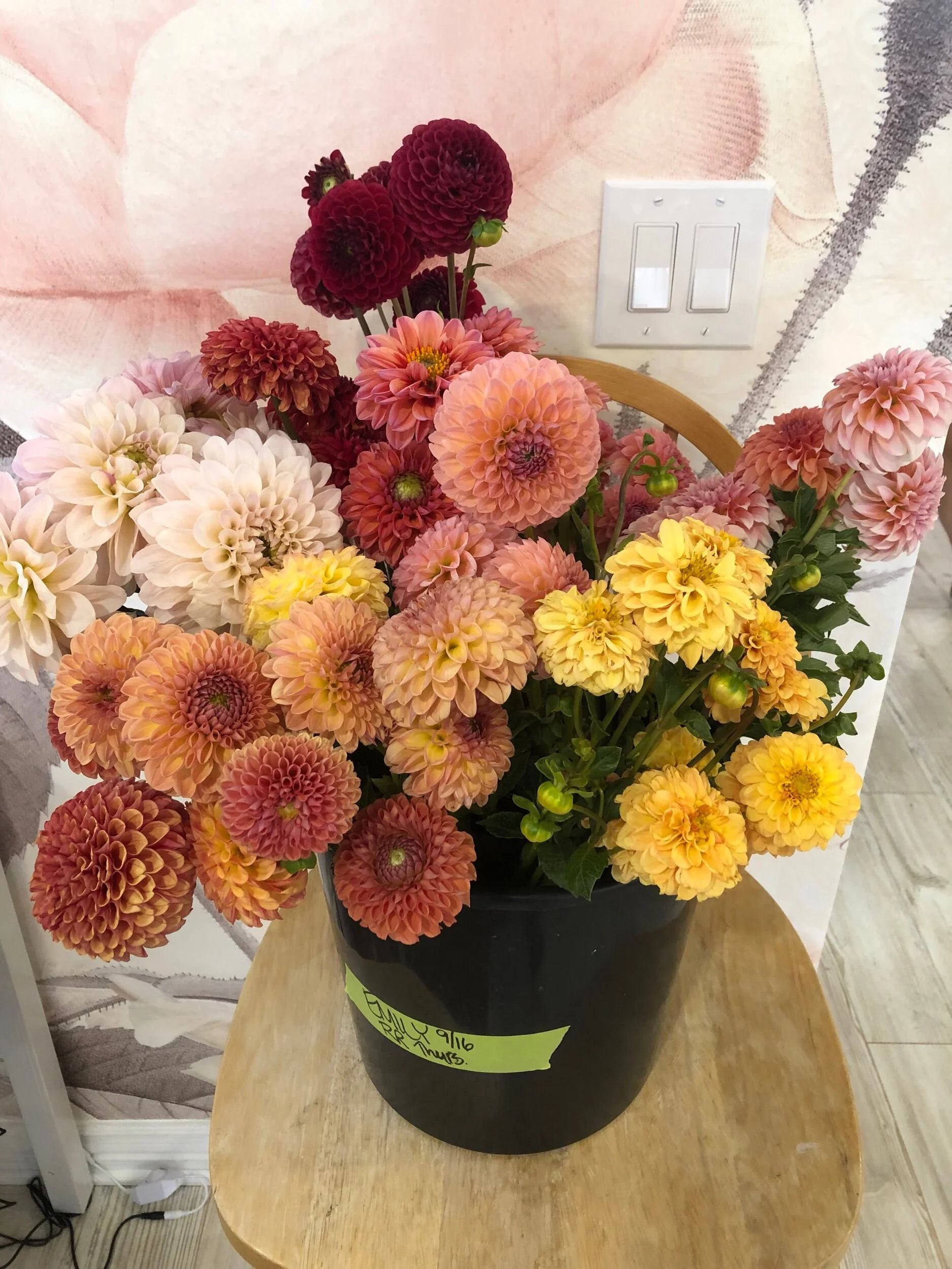 38F7C5D2-2DCC-4789-8902-6A11D546B95F