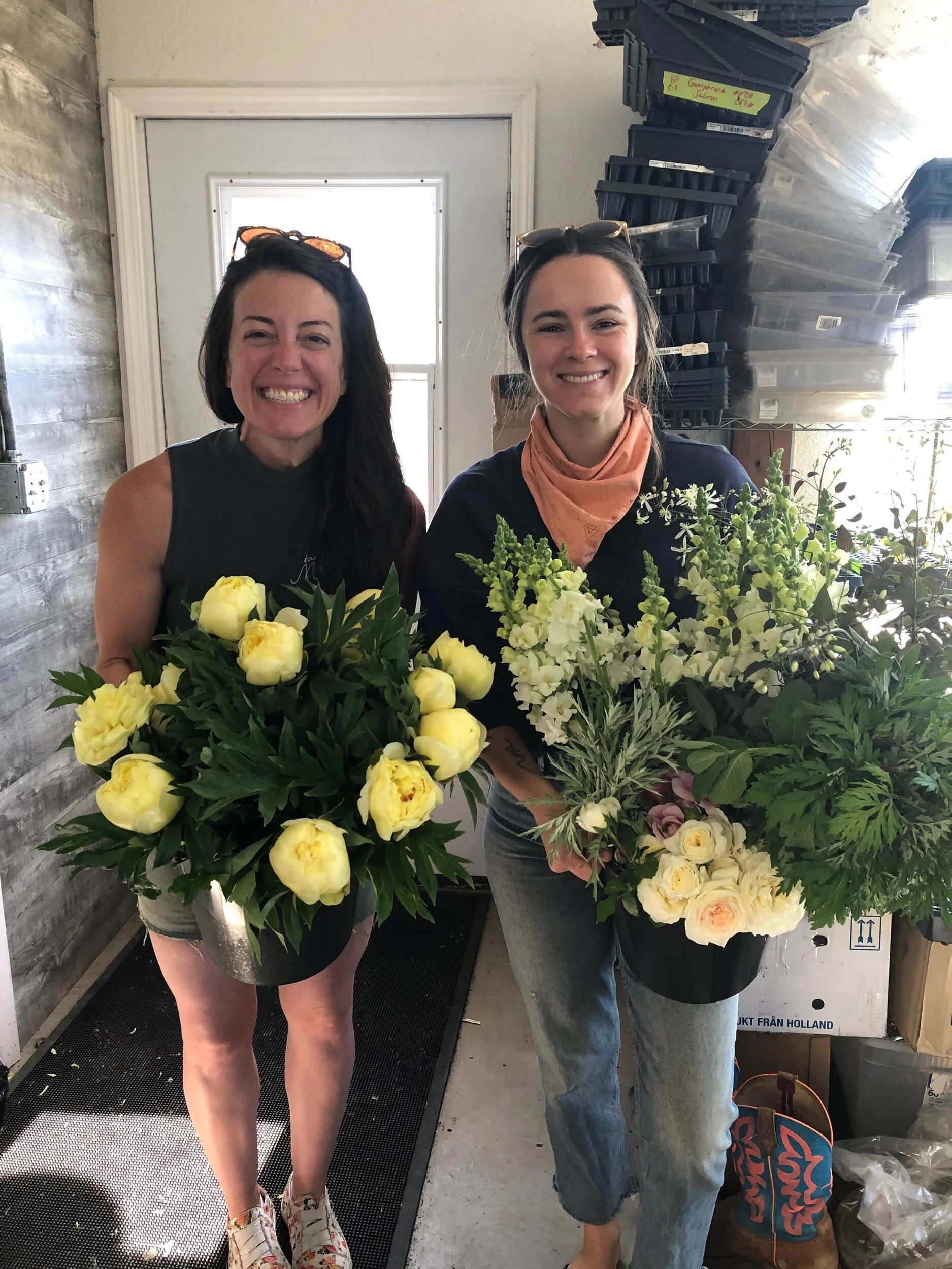 E04A0408-3A7A-4350-B9B0-135566A8672D