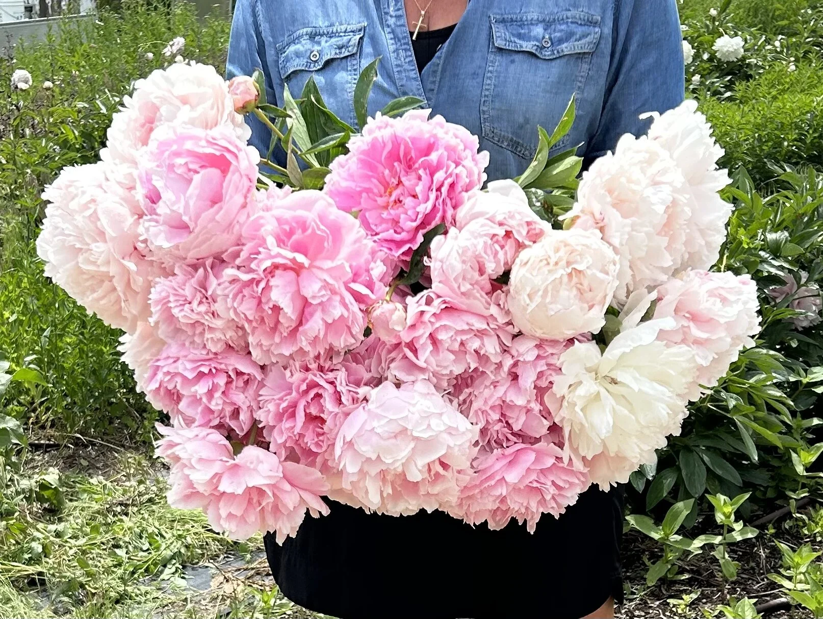 14CB3AEA-ADF6-419E-897A-5515051A2DB7