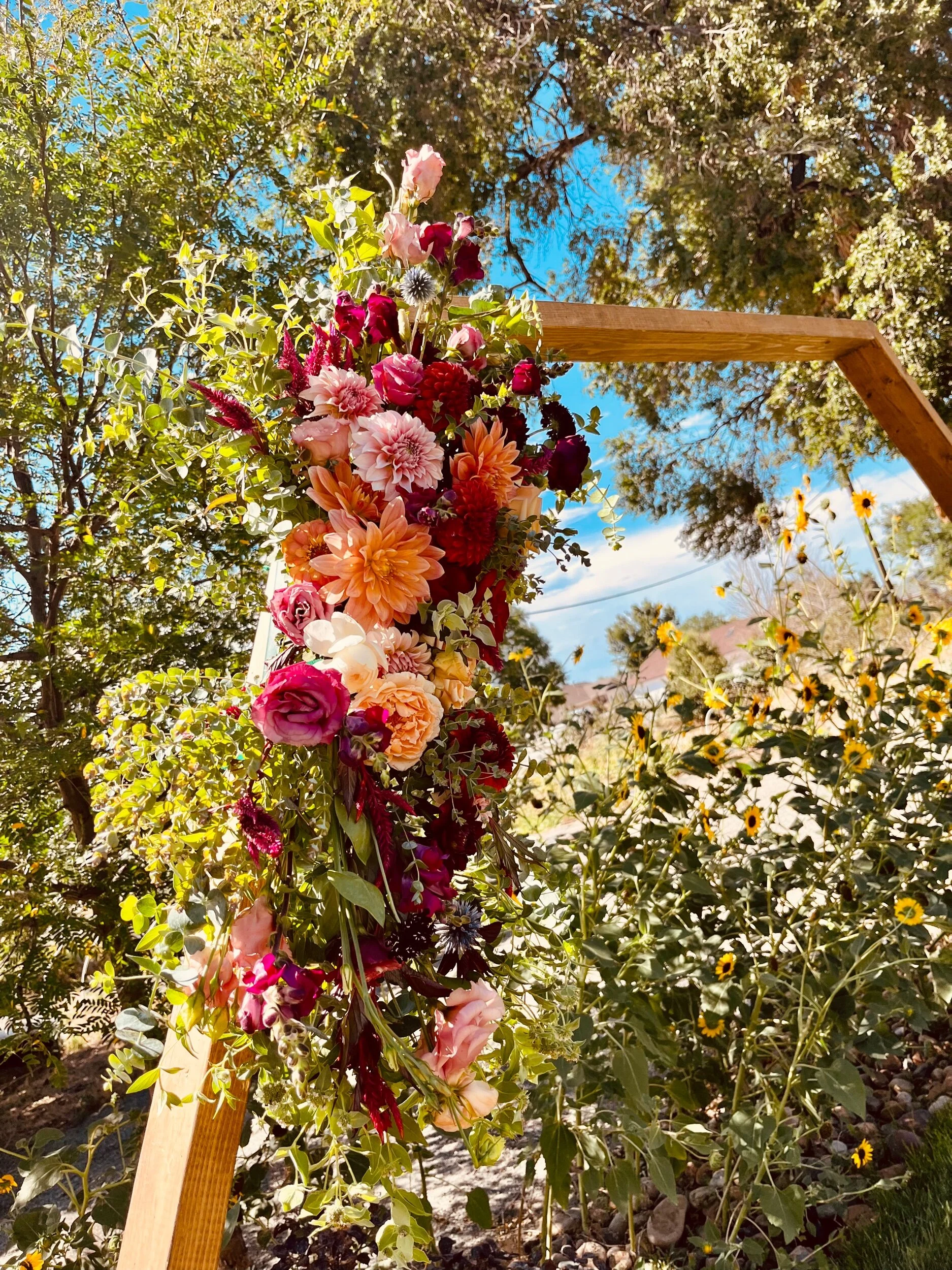 96676E71-2A93-4429-AEB5-BE50CDF680D5