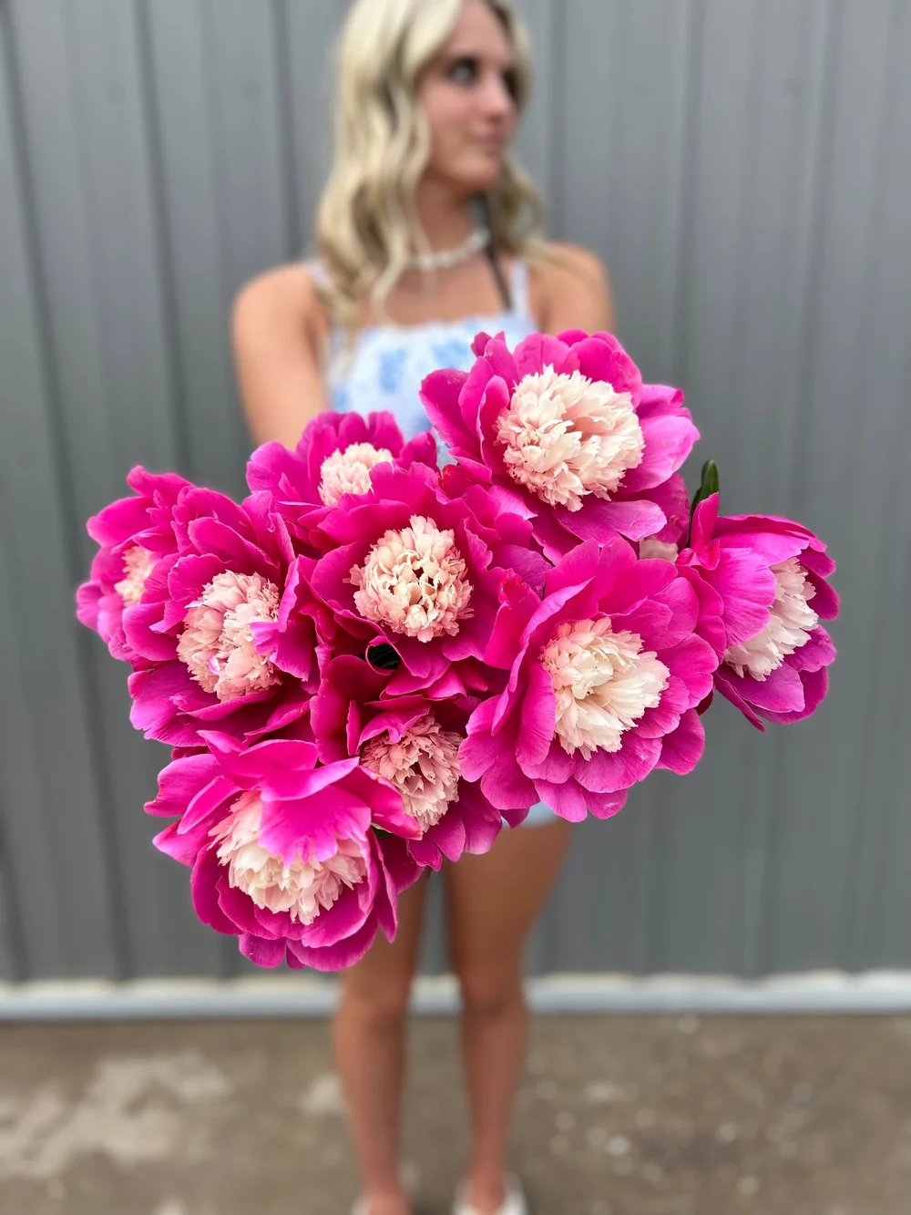 Deluxe Peony Box — Red Daisy Farm