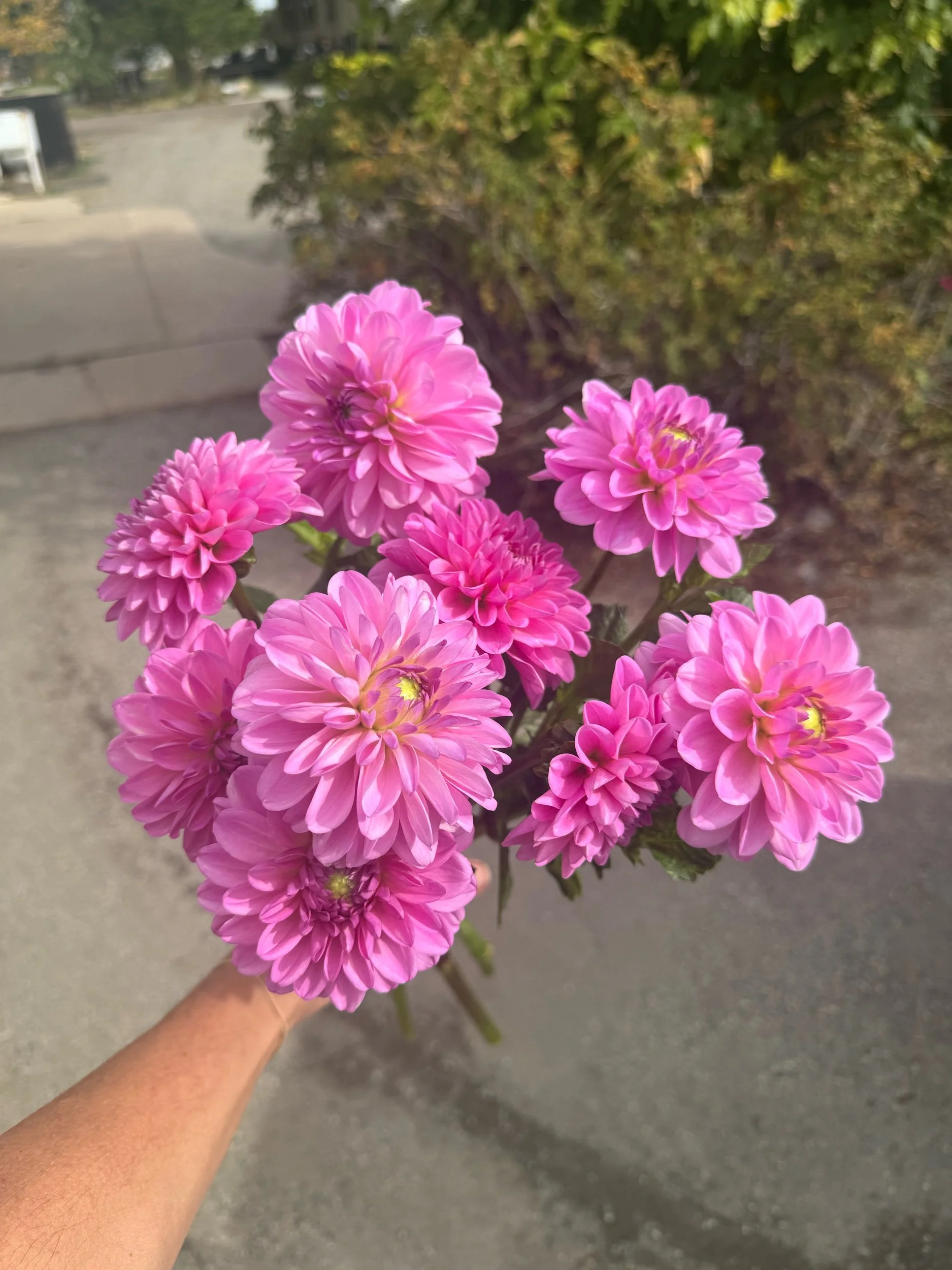 4E411E3A-491E-4BB5-9B6E-4F252F120BB7.jpeg