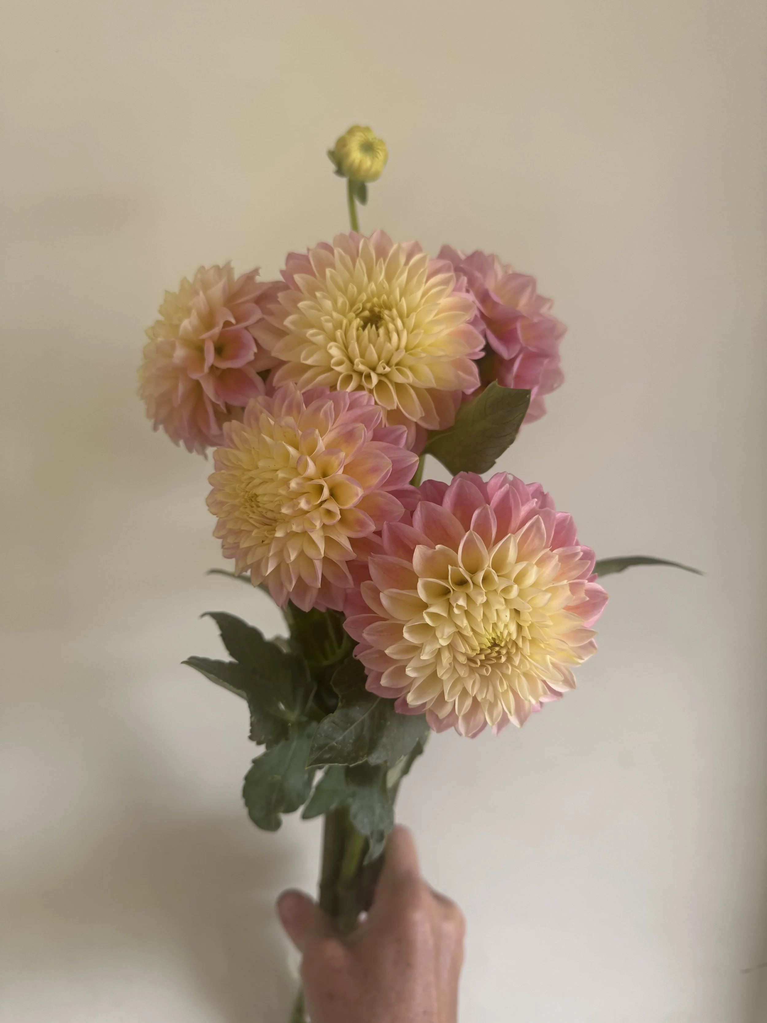 IMG_0713.jpeg