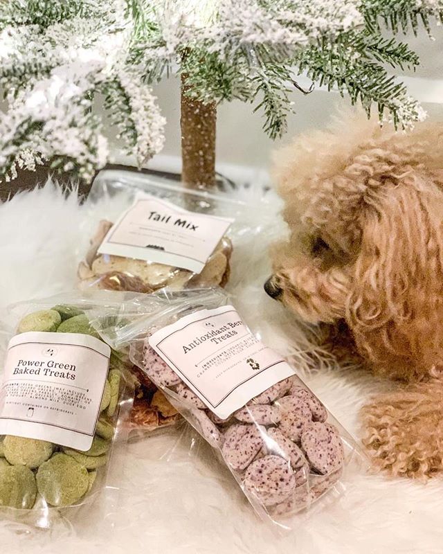 What&rsquo;re your pups asking Santa for this year?? 🎅🎄 &bull;
&bull;
My friend @charliethehotdiggitydog just couldn&rsquo;t wait to open up his gifts this year! 🎁