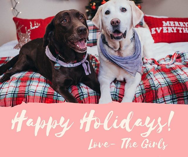 What did your pets get from Santa Paws this year 🎅🏼 Were your pets on the naughty or nice list?? 🎁

We hope everyone is having a wonderful holiday season! We are all looking forward to ringing in the new year surrounded by all of our friends, old 