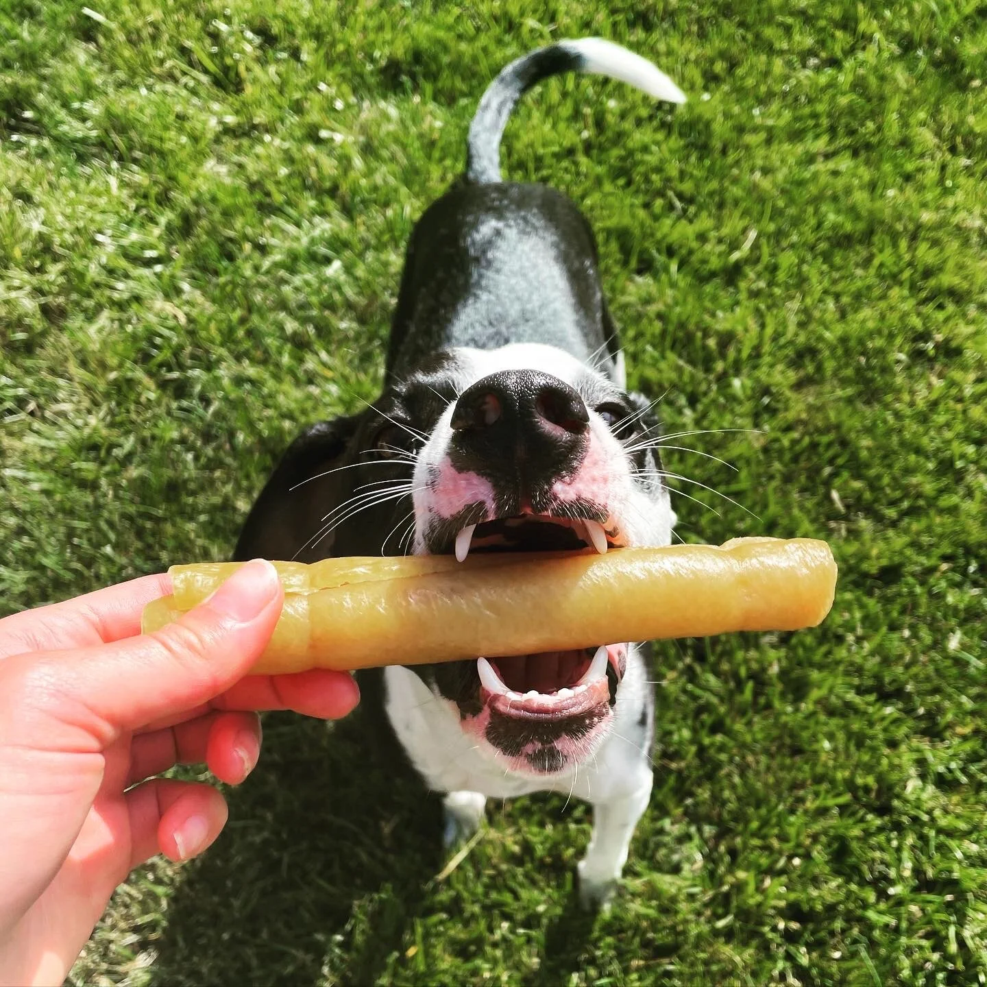 6304C112-3399-44E2-A805-D3F7BBDD38C2