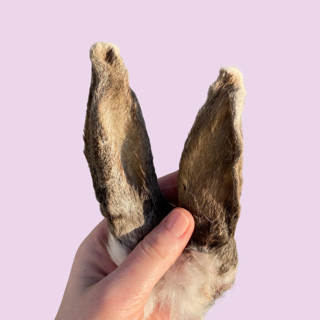 E7CEE8DF-2EF0-4F4A-94C3-3B60D11CD79A