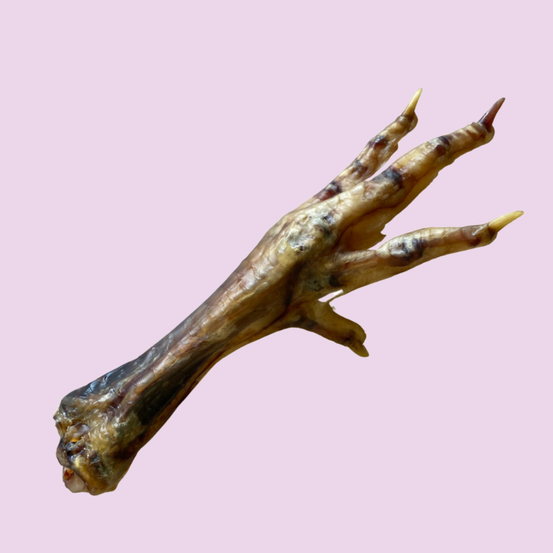 86486074-D462-44F1-B7A4-A0BBC2099333