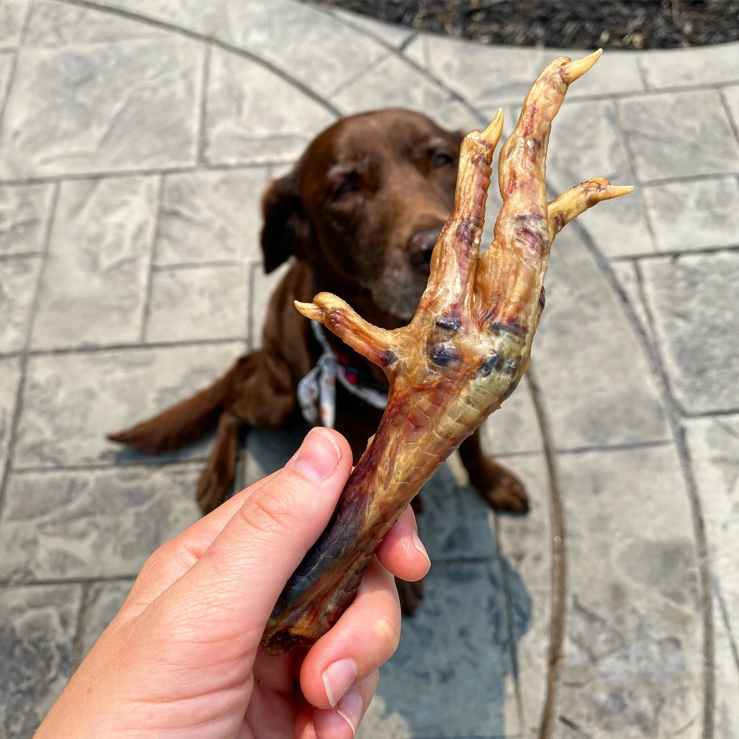 975FFED7-C609-4E7F-BE68-69B4180C1F77