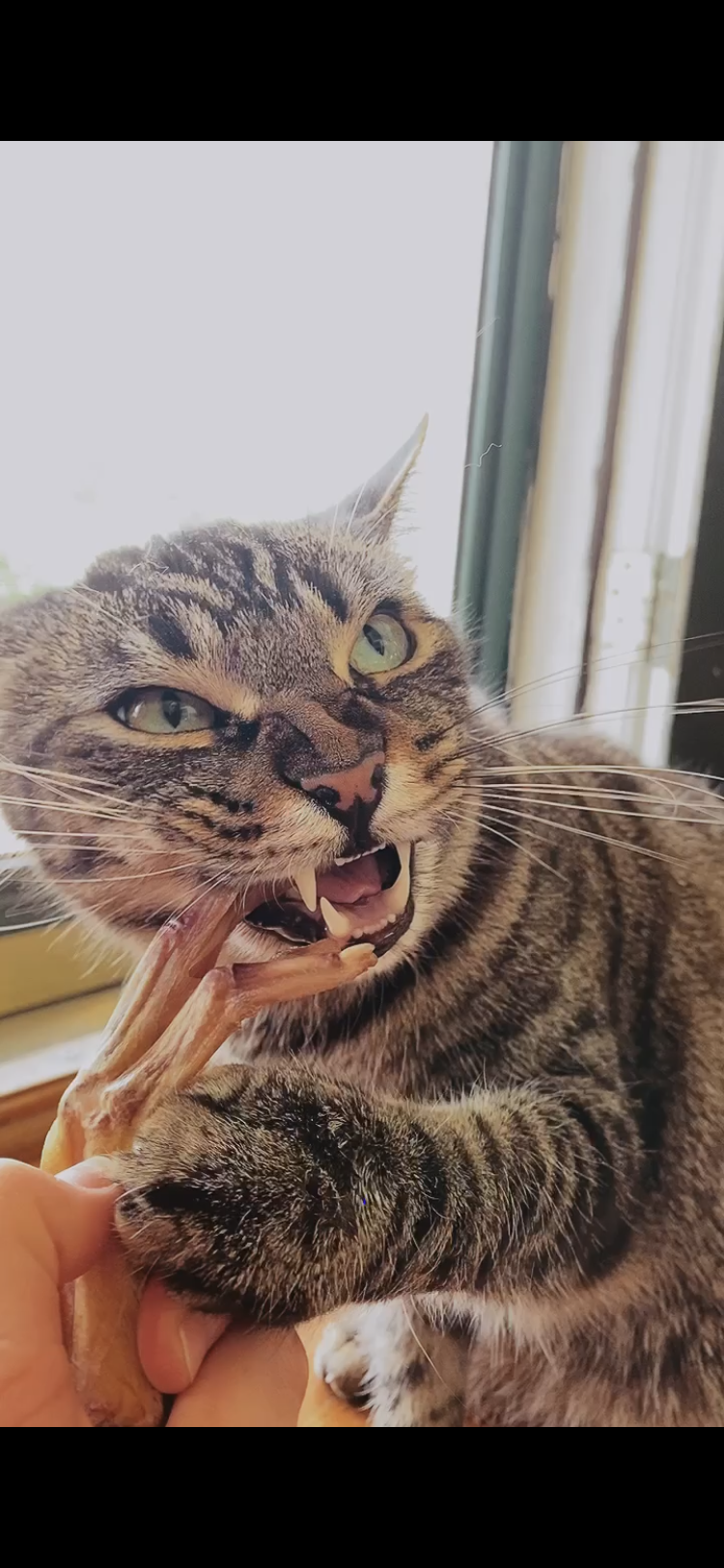 629A14EB-F10D-45BA-AF6B-12FA76EE74BF