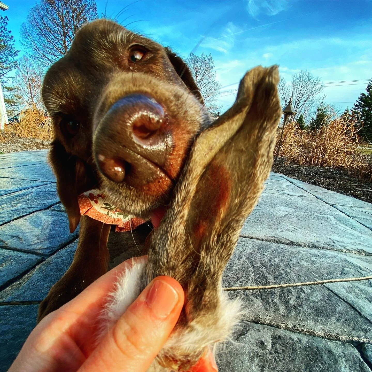 3FD5BB2C-13F3-410F-9D72-67A6869261D4