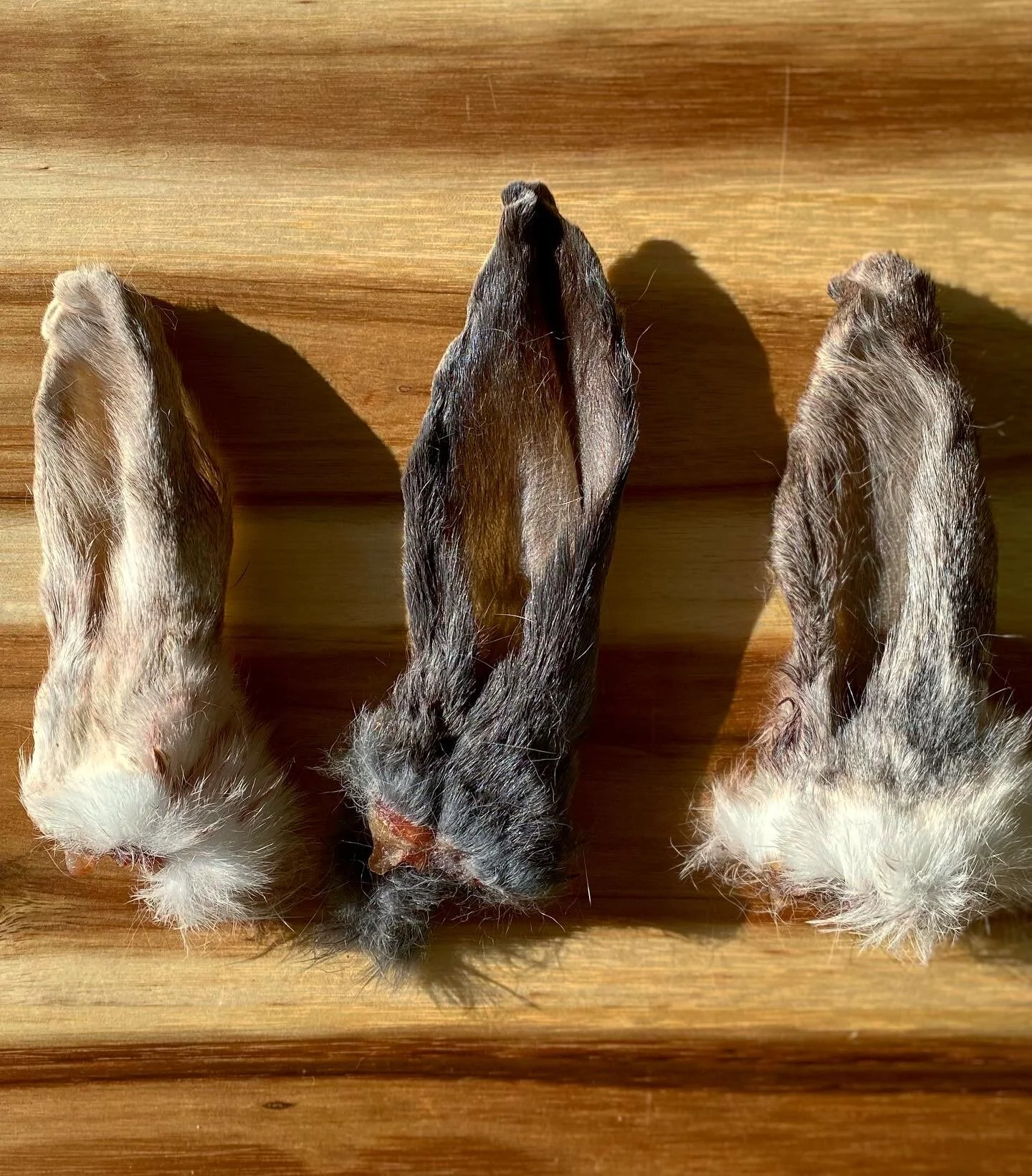 421BD245-AB7F-45F7-BD8A-956F81A5BFBD