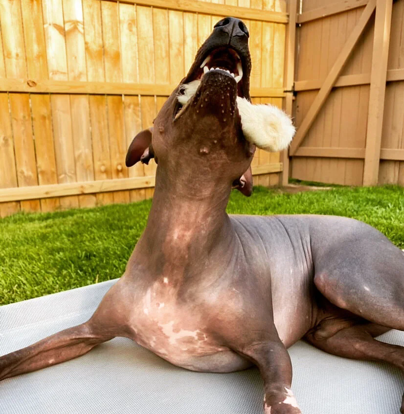 01CE3846-64B4-4D98-A649-7DF7B974889A