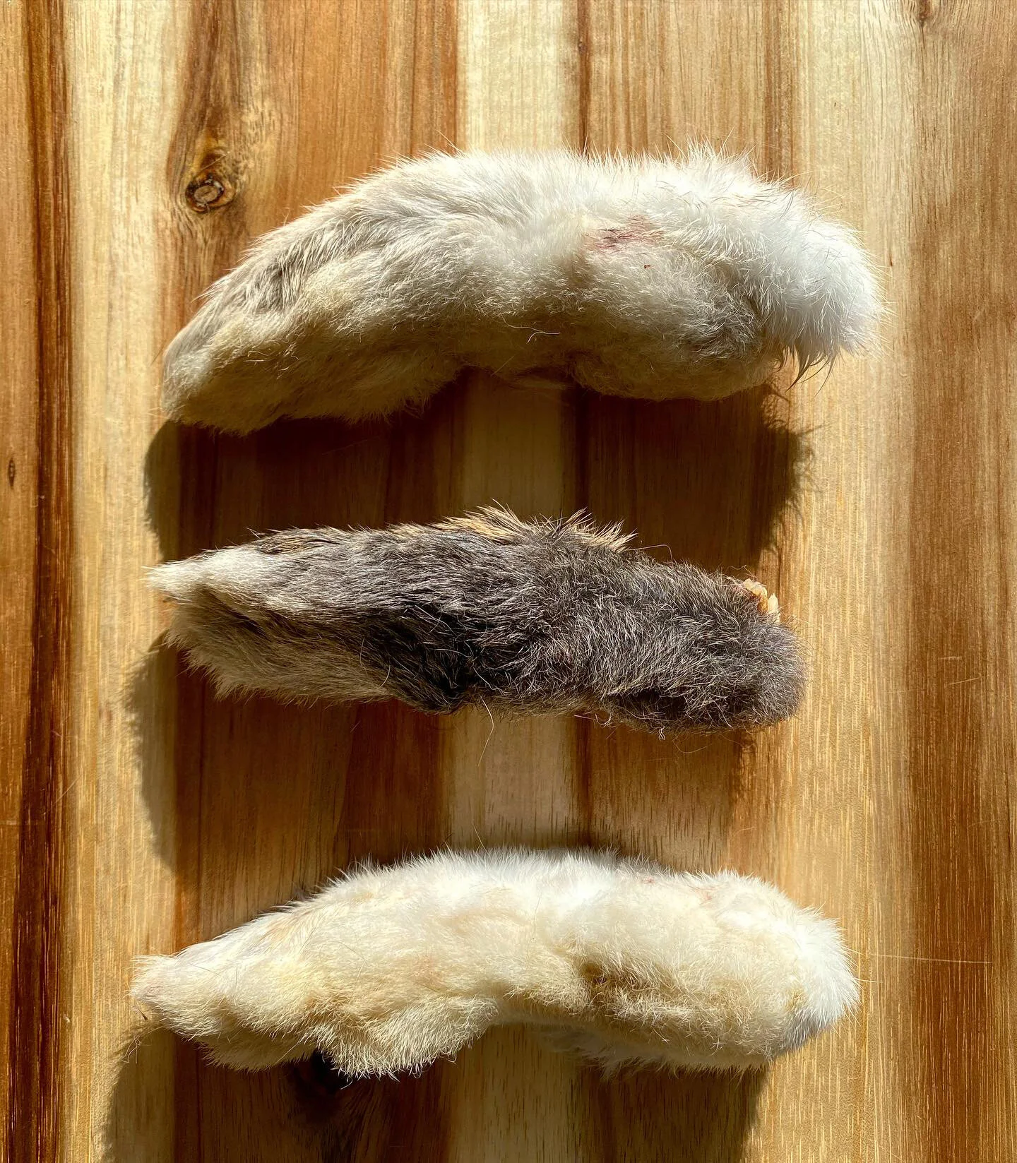 E304B9F2-C3CE-4B4B-94AB-5C4F3050DD32