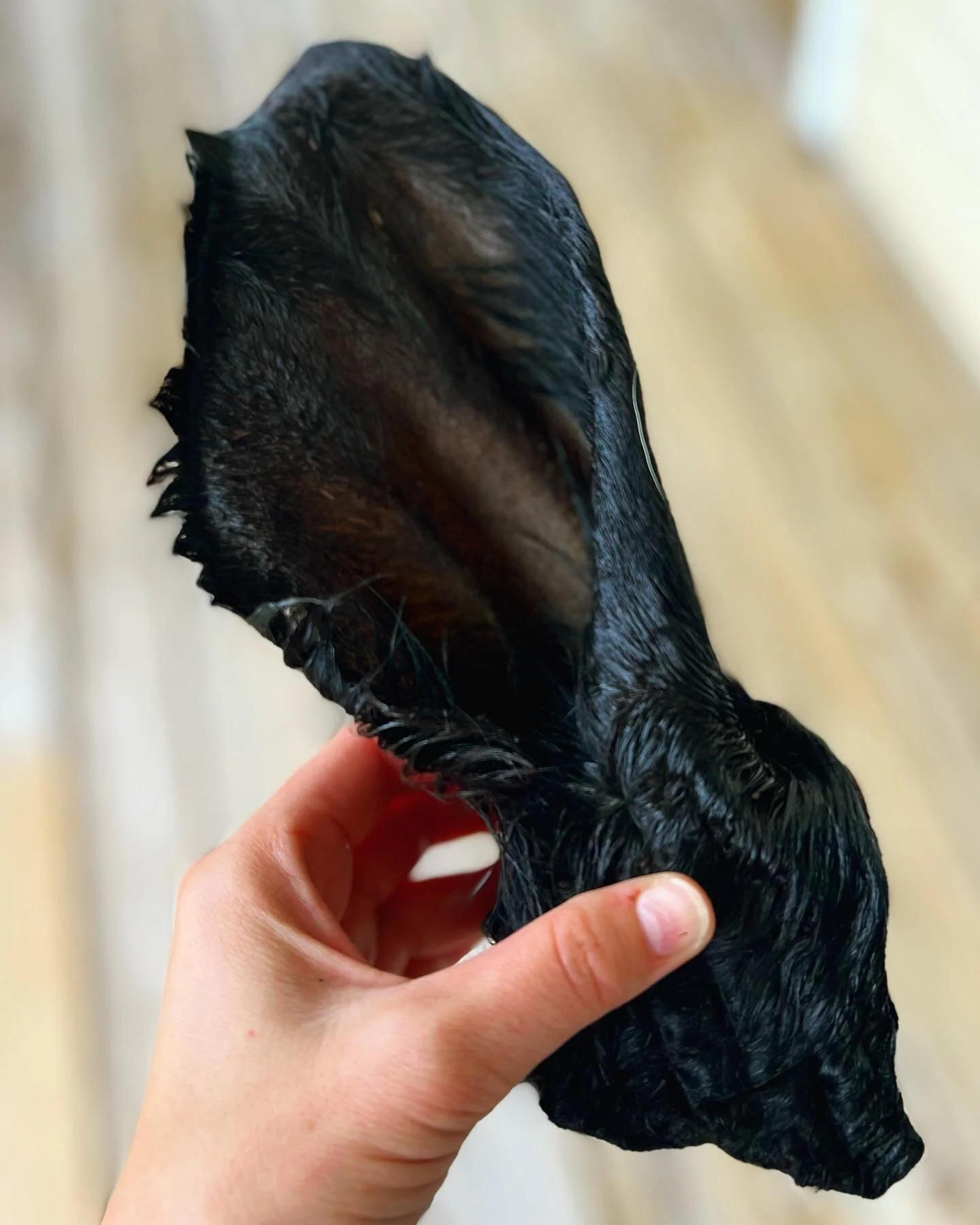 FA2229DE-BC81-4004-A9C5-5C2C7B80241C