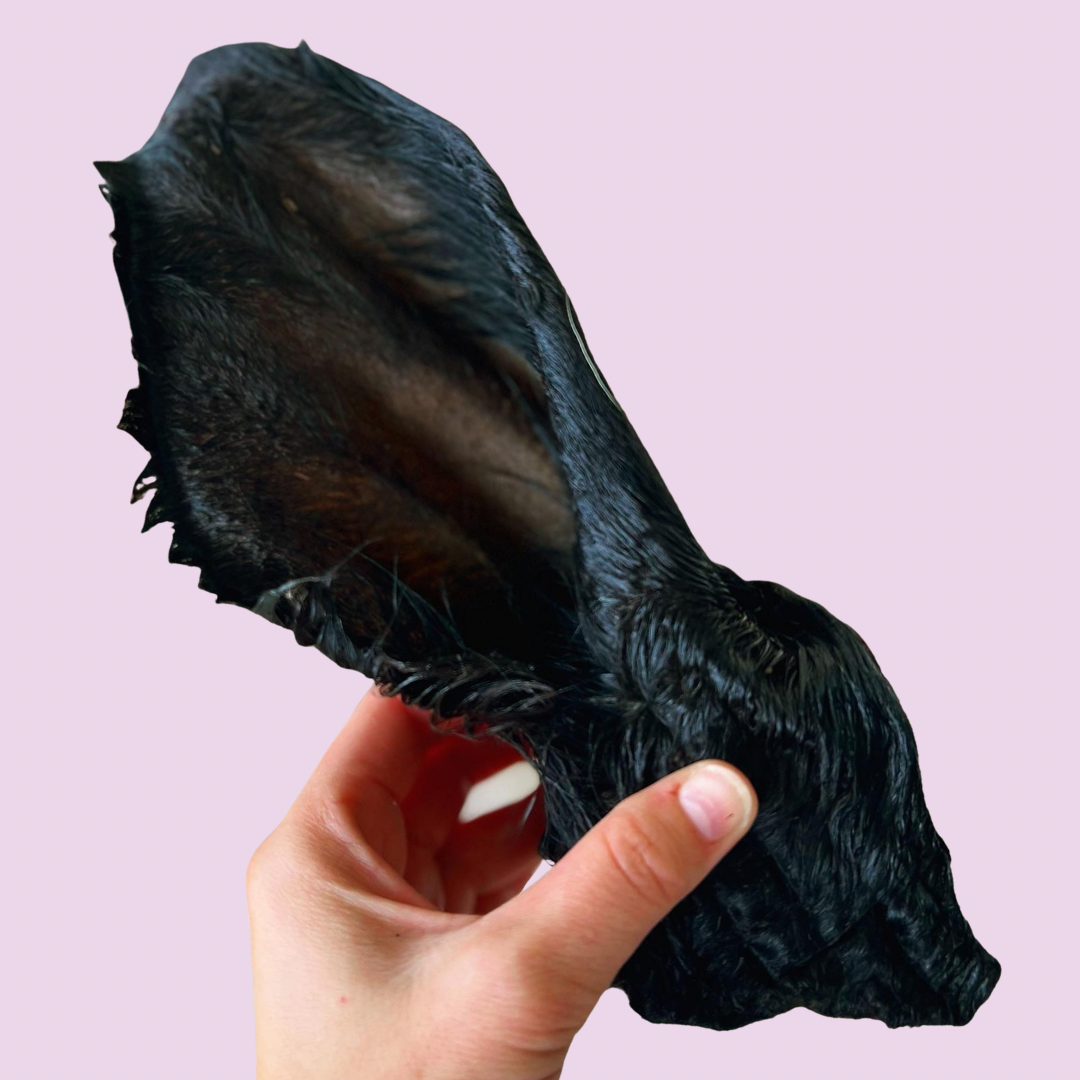 E97BC564-3505-4FA5-894F-9C1D4F3EFC5A