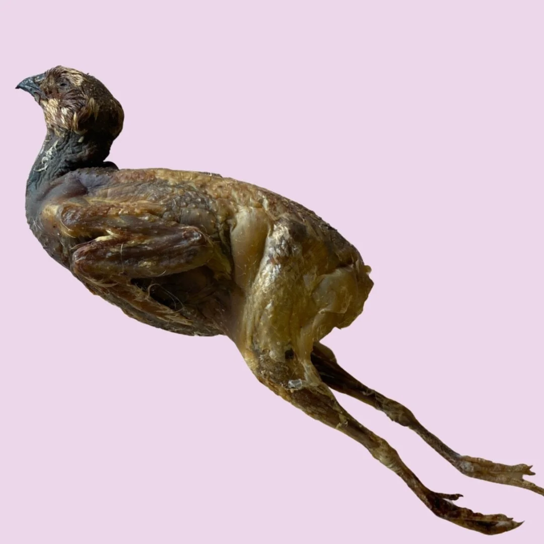 C96AFF2D-99B8-4443-AAC2-B9606C9CF78E