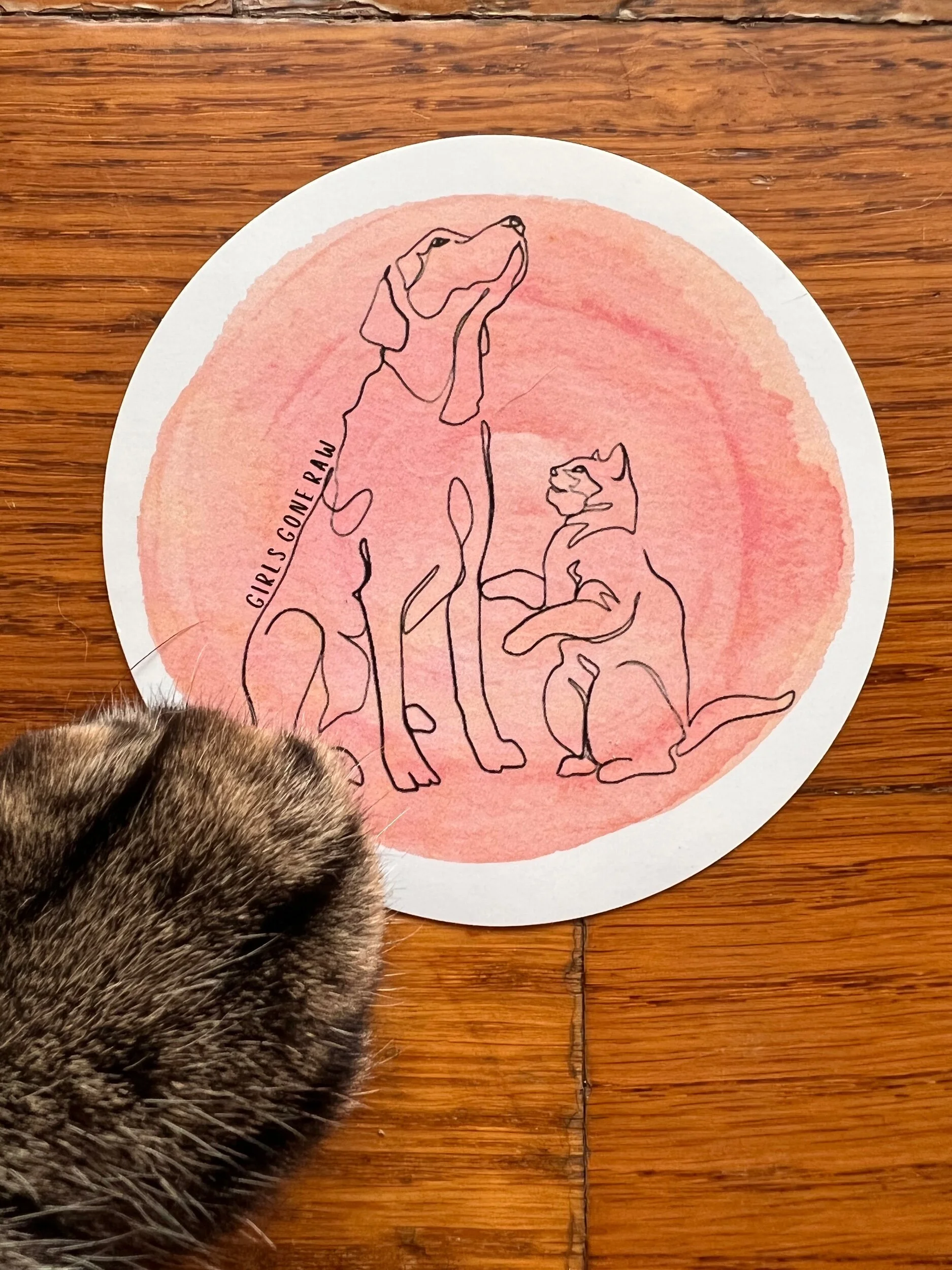 CE207336-0E16-4F9C-BAC9-AF77299952EE