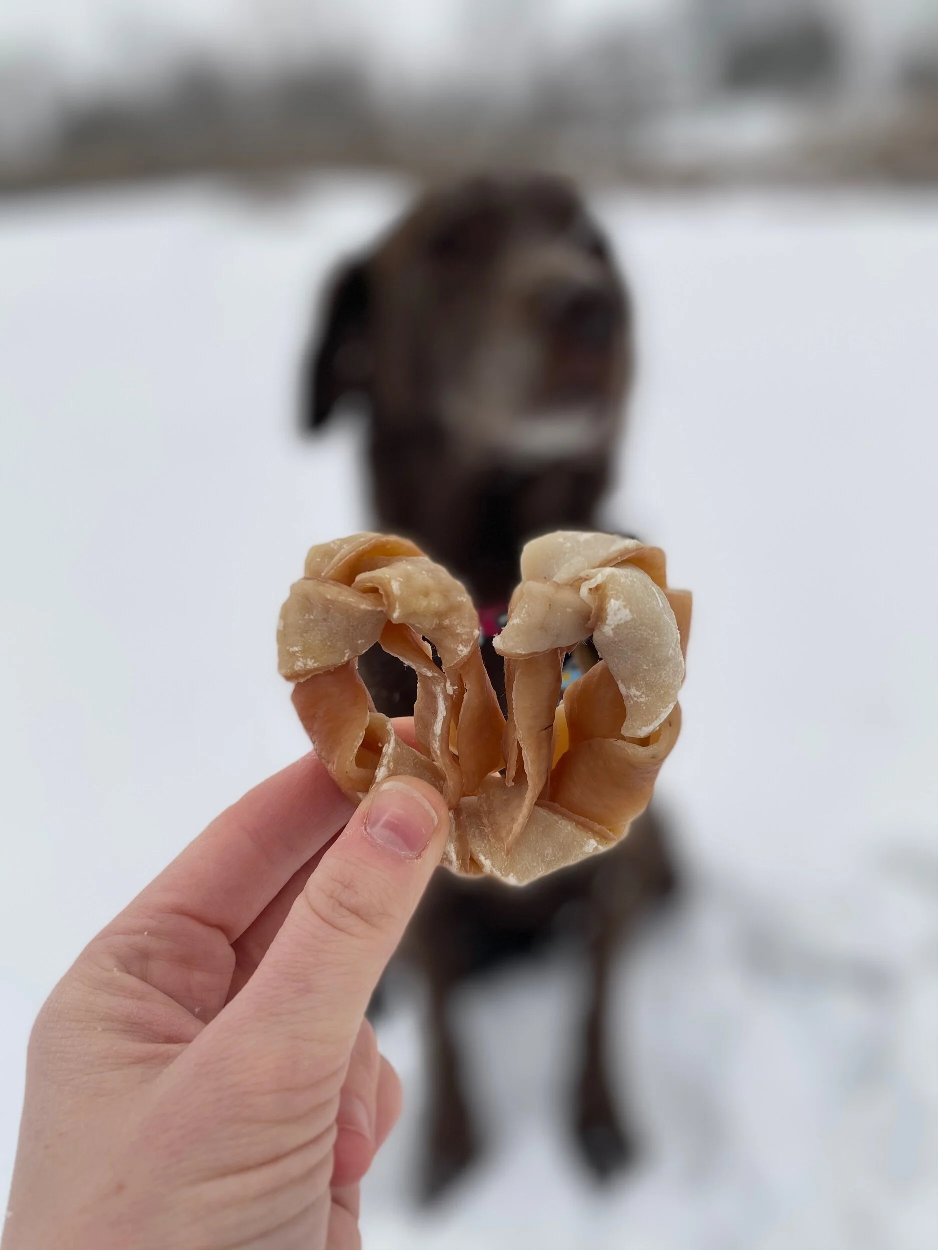 53AD0563-D542-4035-9F50-8975CEE7F7FC