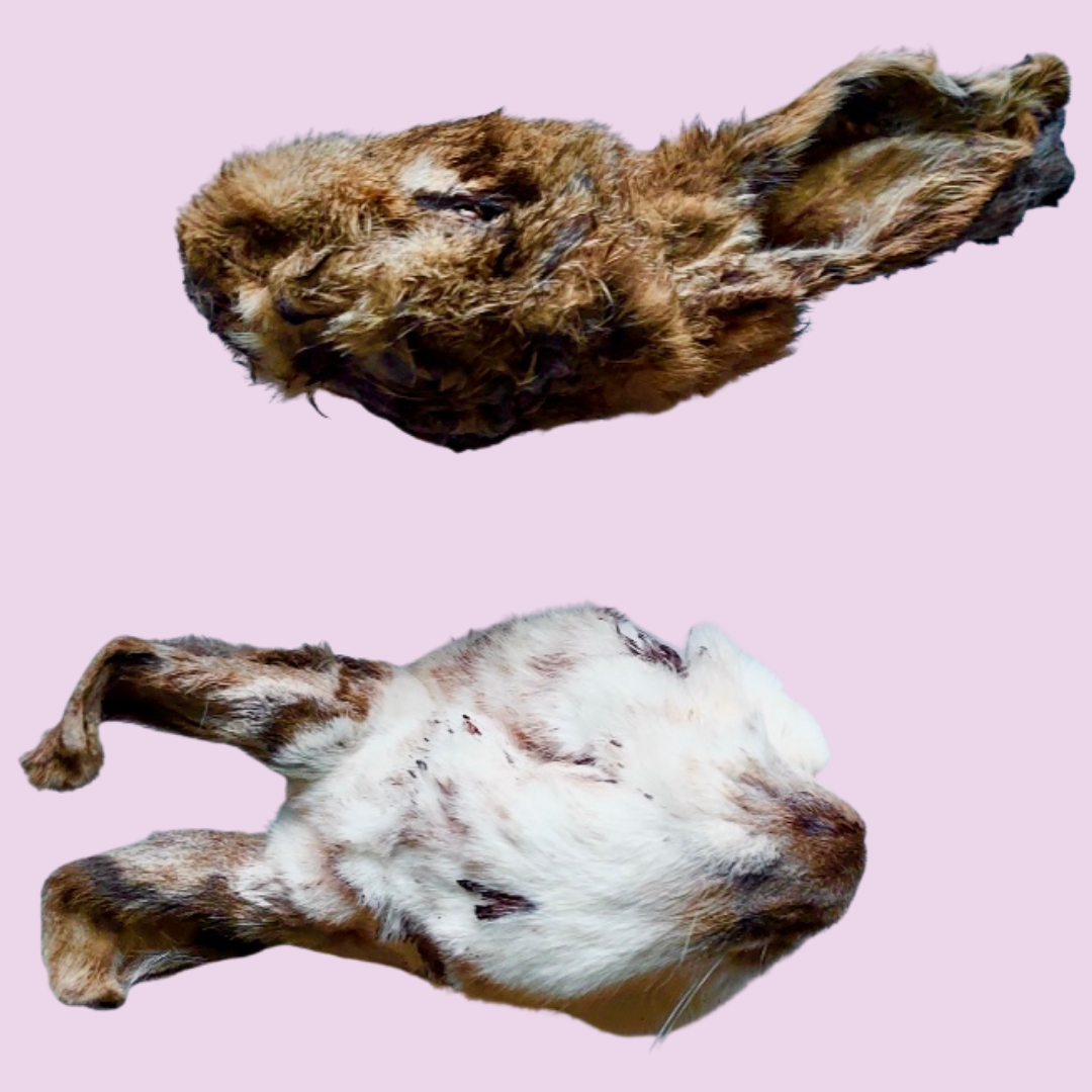 169D6B90-BDB1-46A7-82B3-3DBFD85B0F51