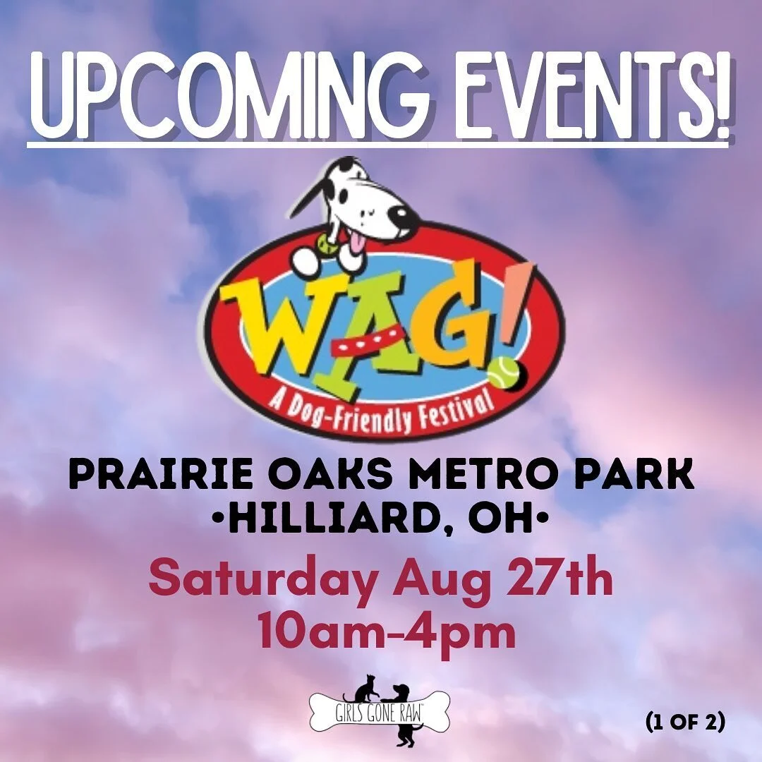 Seeya There OHIO friends! 🔥

@wagfest THIS SATURDAY in Hilliard OH. 10-4pm 

@heygateway Yappy Hour, next Sunday 9/4, 2-6p at OSU campus downtown 

@rescuevillage WOOFSTOCK! Cleveland, OH. Sunday 9/11 from 10a-4p

Dublin Pet Fair! Sunday 9/25, 12-5p