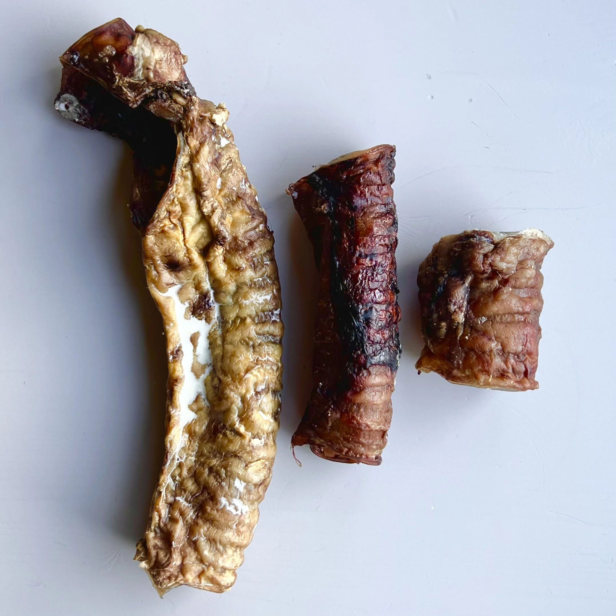 3518791A-CC1B-425C-BD8A-AA90D6D980A7