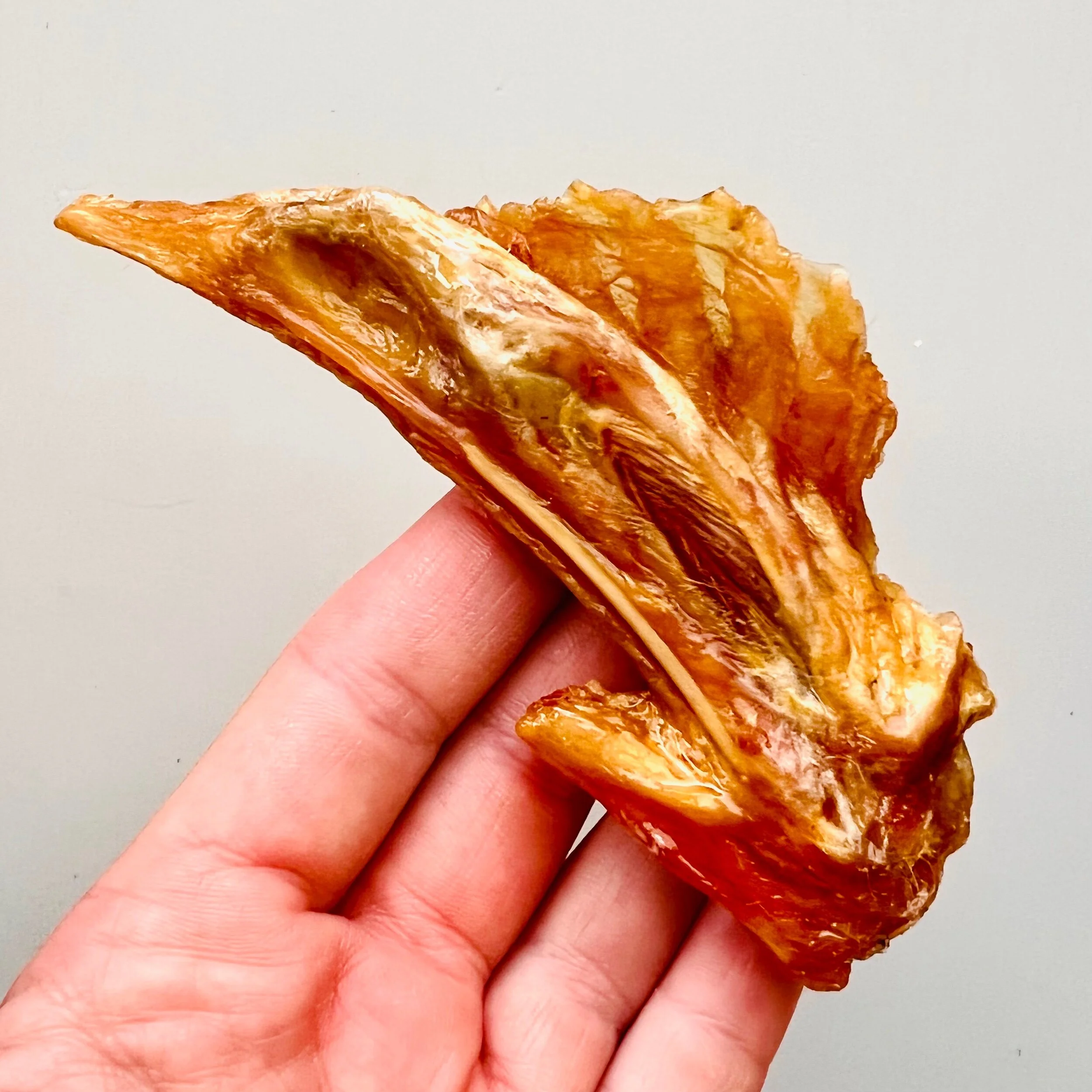 D84B1A06-AECE-4876-AF53-14B0565582DA