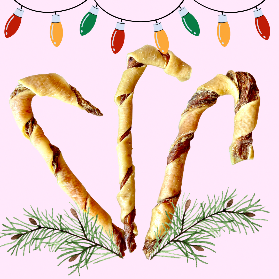 C7BD47AA-5AE5-4156-AA29-52ADDCDF9A22