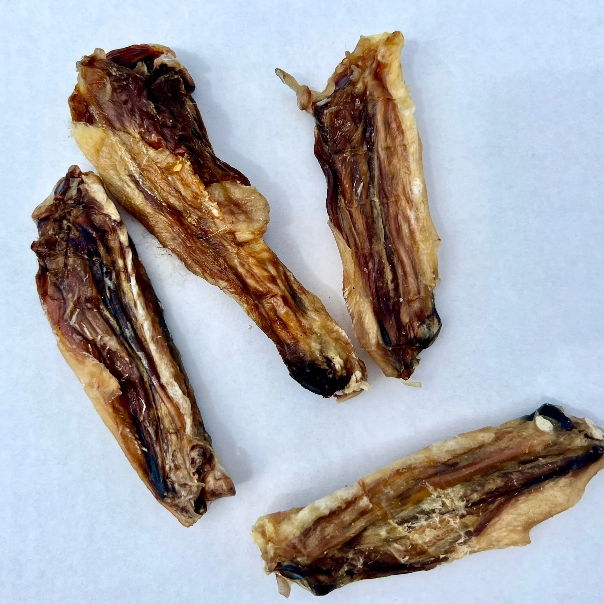 0205F837-FE86-489C-8499-32C7F4940534