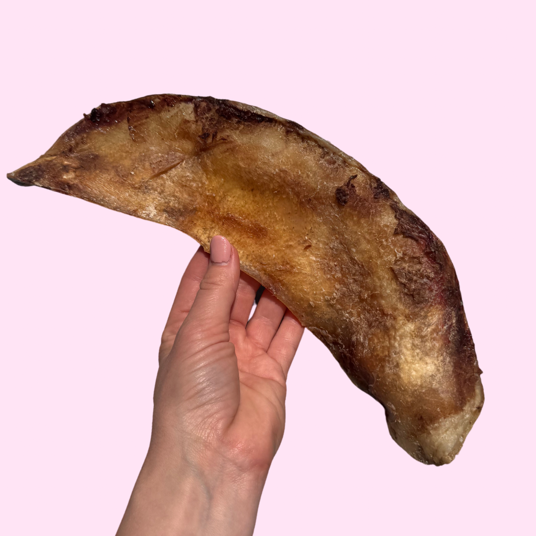 C5C6A4BB-DCE9-49B4-8FE3-62AF28AC2656.png