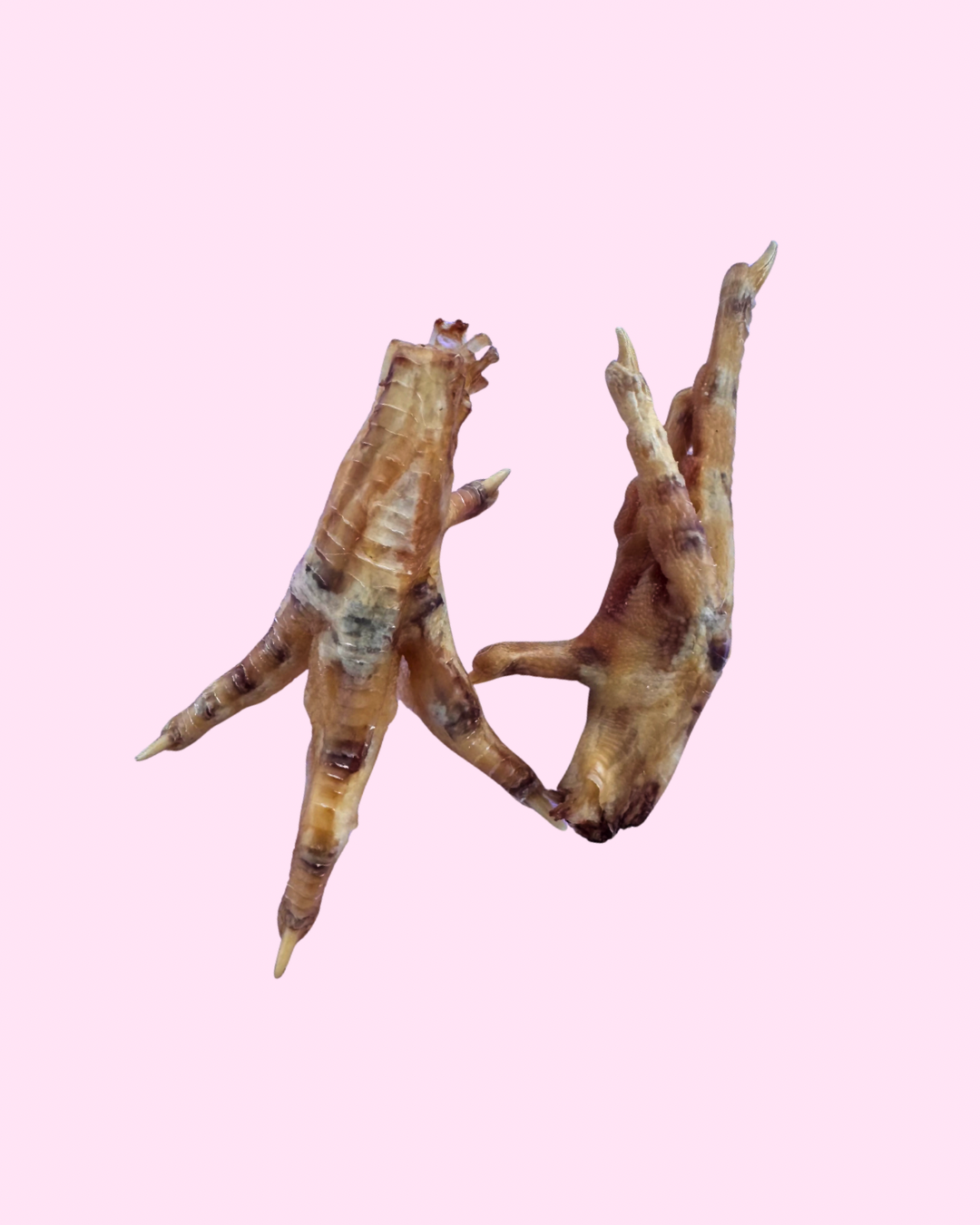 700C19AA-3DA5-4BFA-8C7D-947EF485A7F3.png
