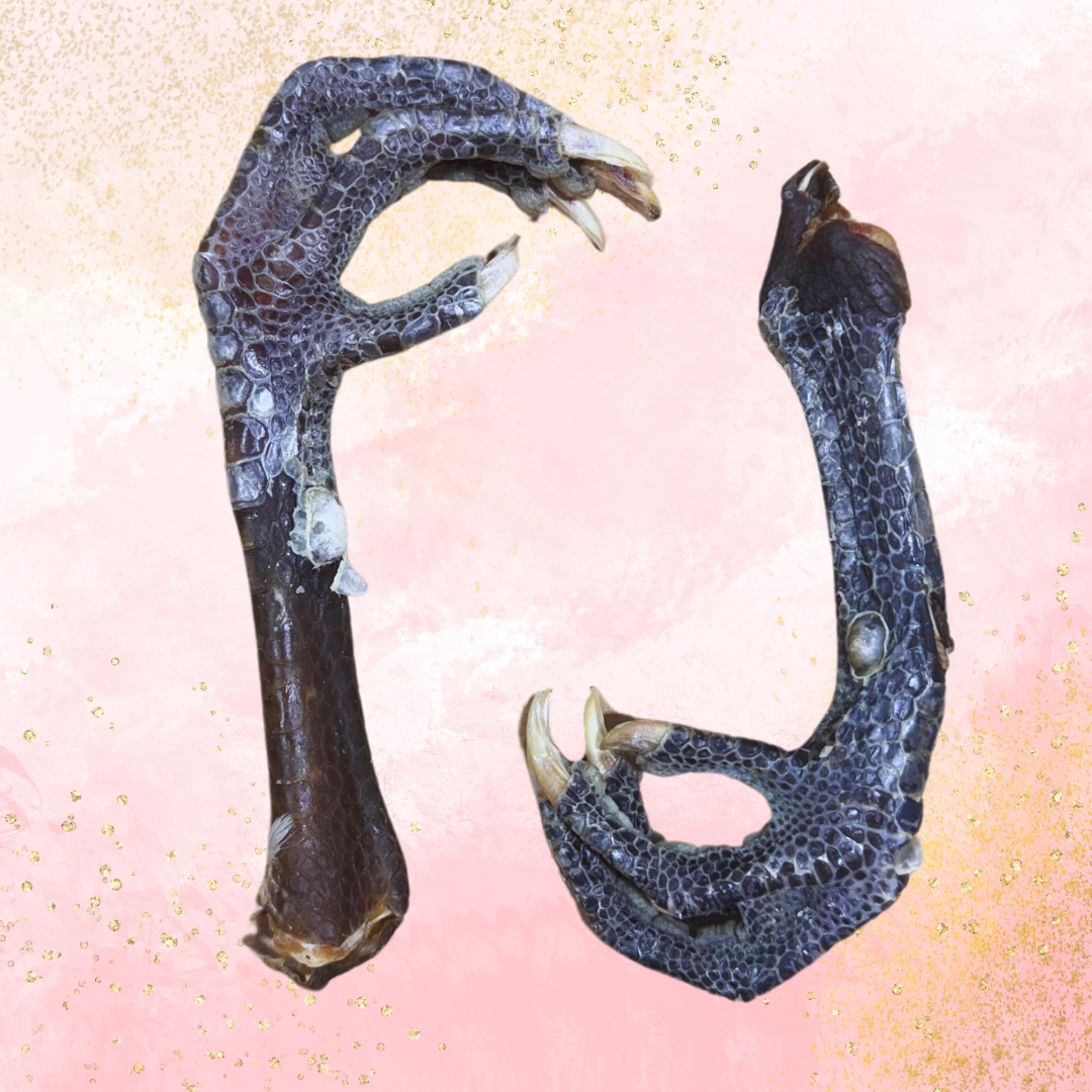 6.png