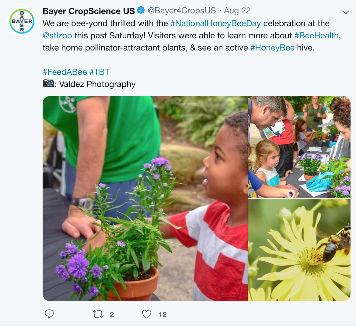 Screen Shot 2019-09-02 at 3.15.20 PM.png