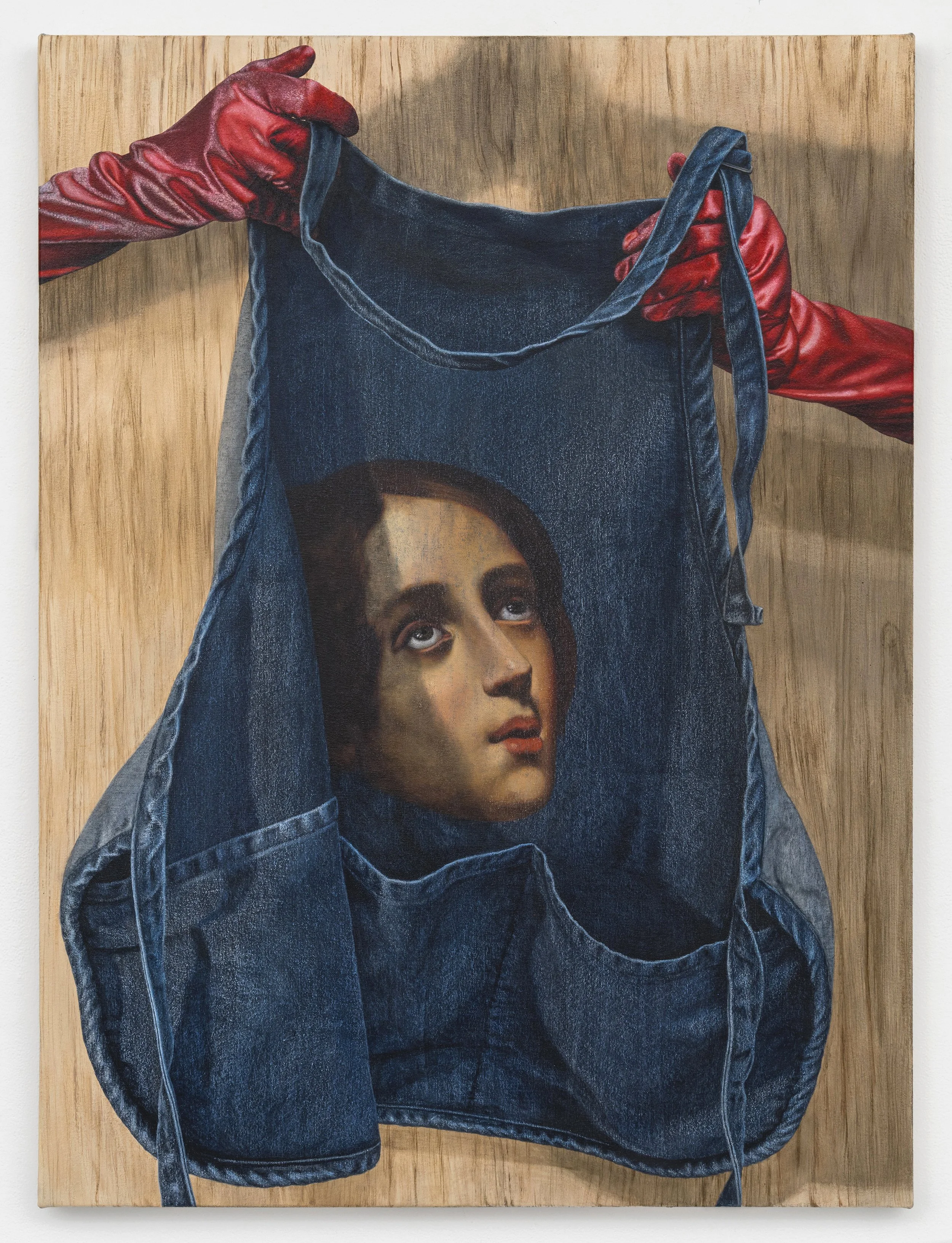 Shroud Displayed