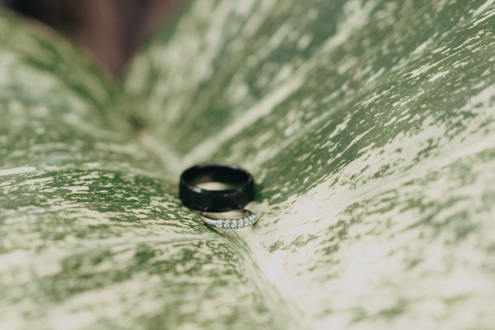 Sandbar Resturant Beach Wedding-Anna Maria Island-Atlea and Carter-2.jpg