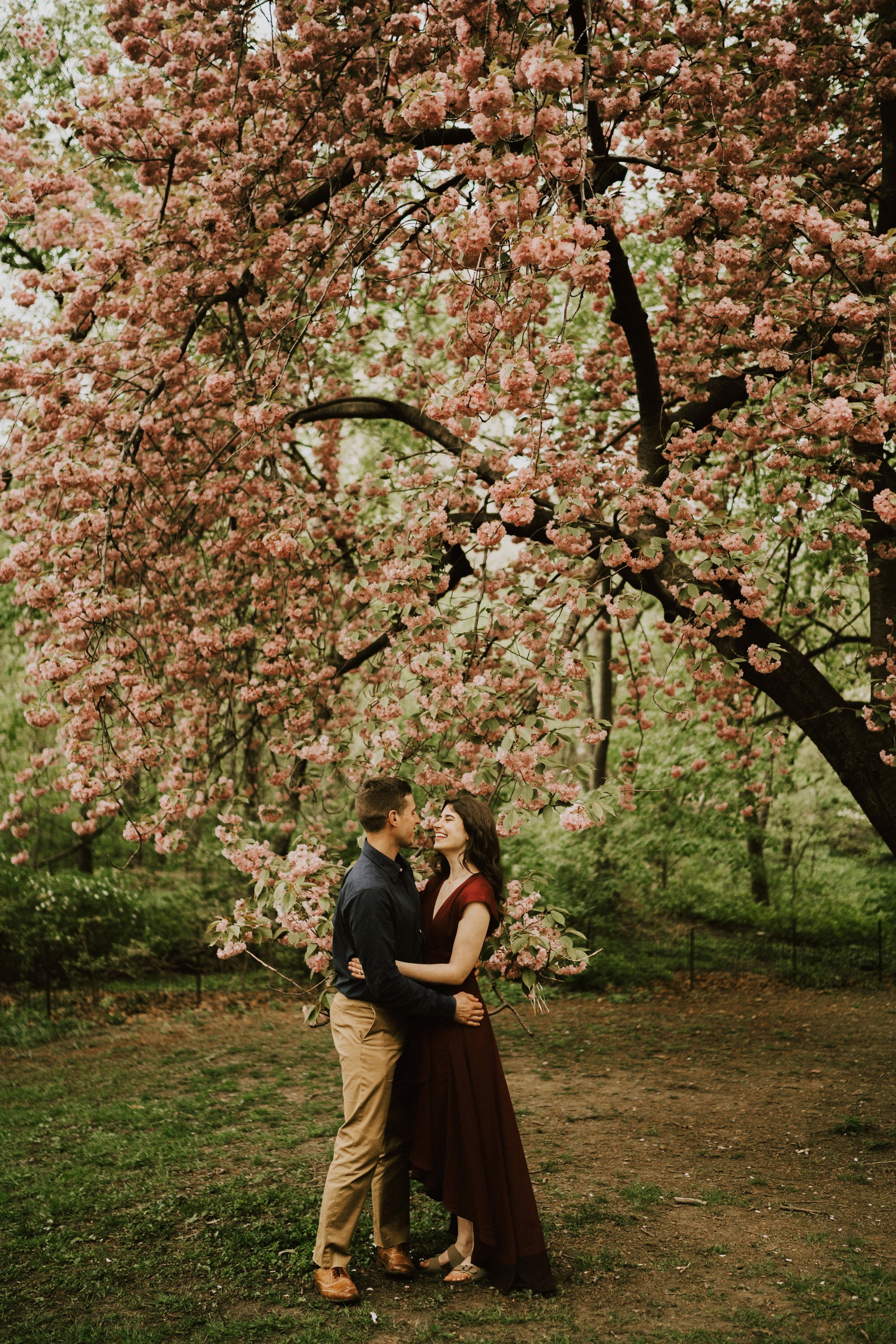  couple taking their engagement photos at Central Park in the spring with cherry blossom trees 