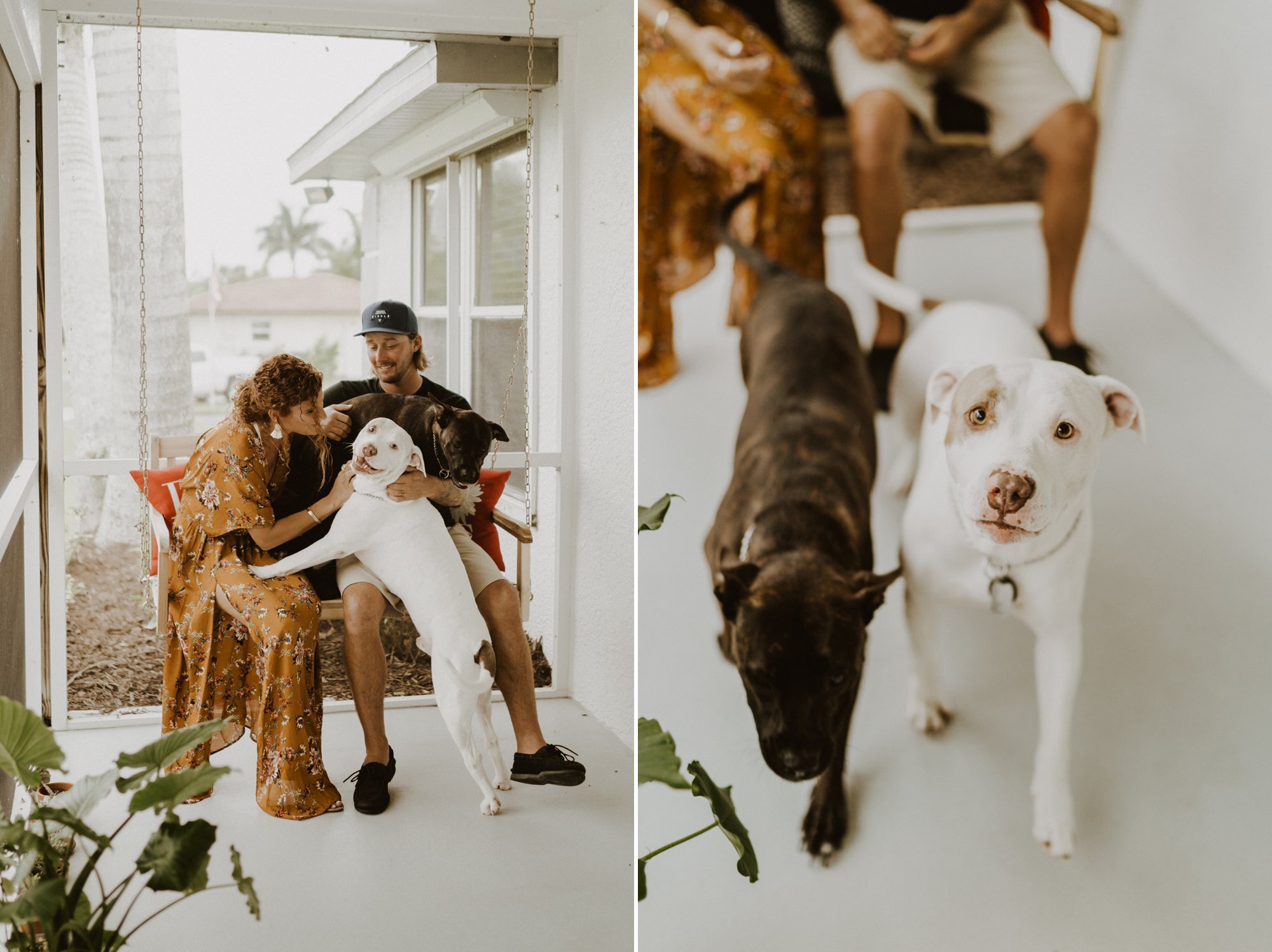 In home engagement session with dogs