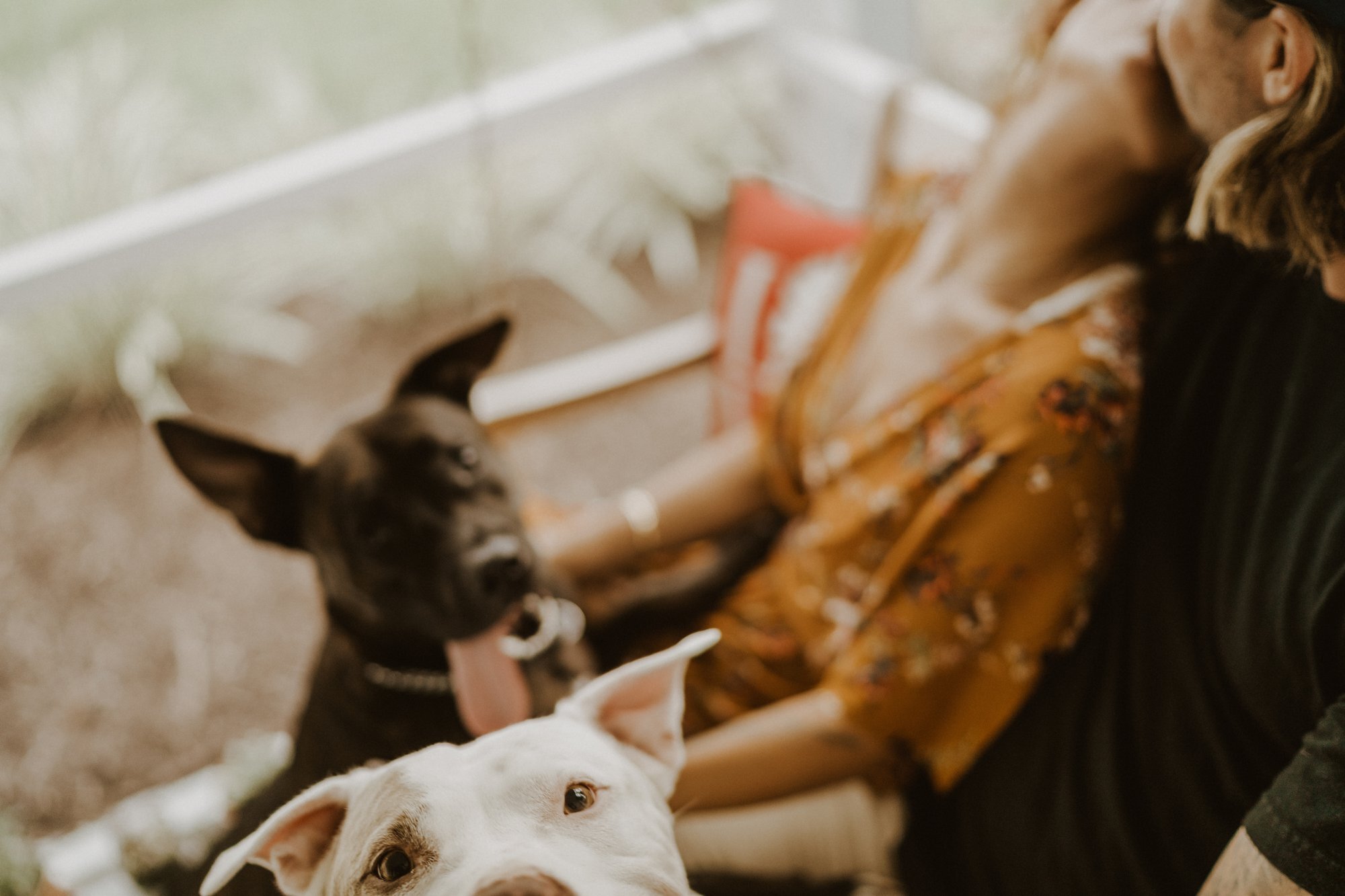 In home Engagement Session with Dogs in Naples Florida- Michelle Gonzalez Photography- Francesca and Mackenzie043.jpg