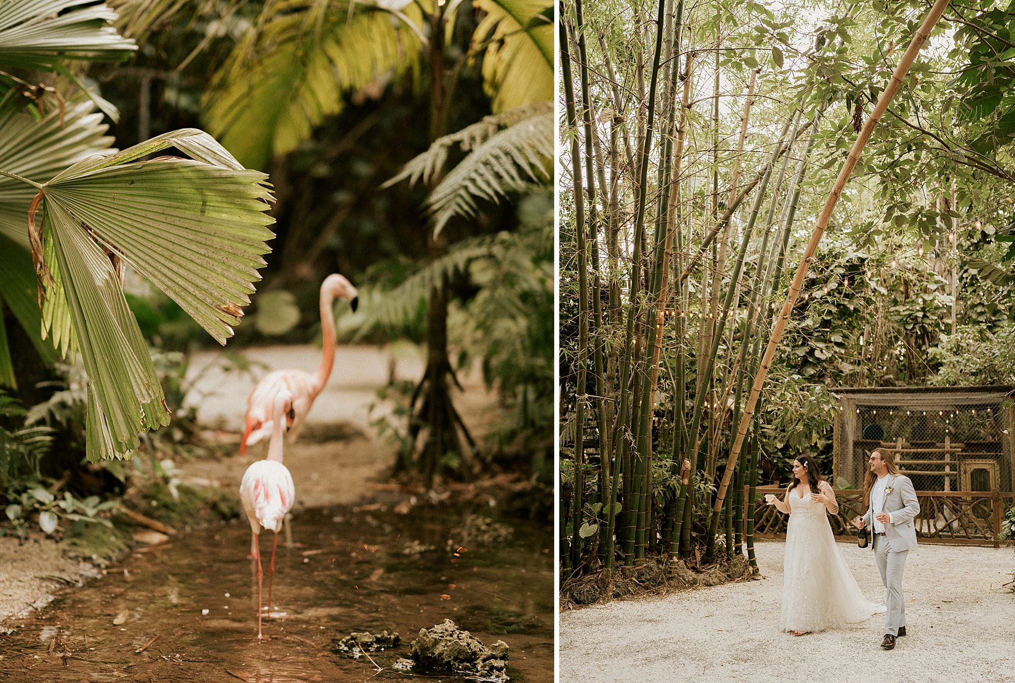 Historic Walton House Wedding in Miami Florida - eloping in miami 