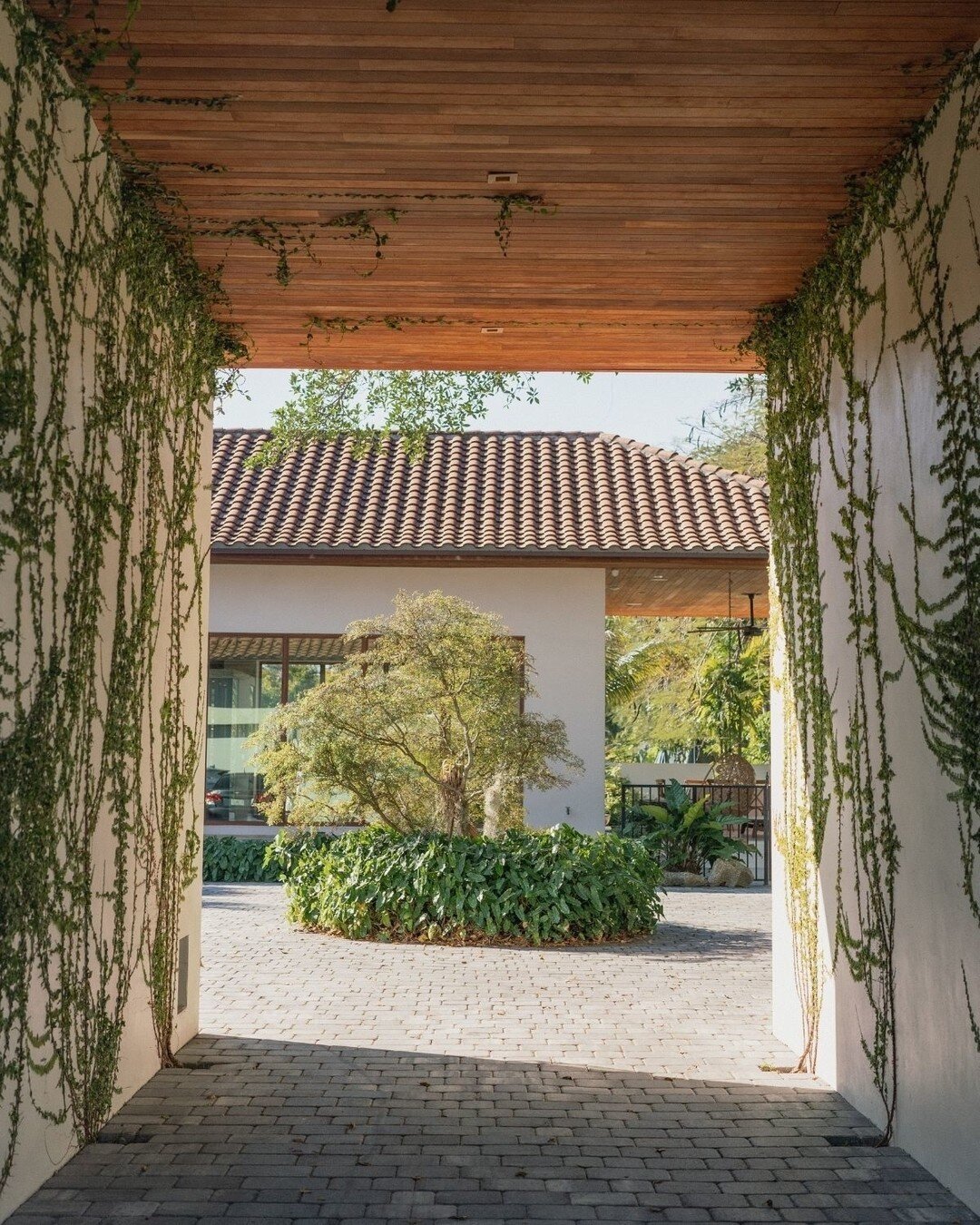 Quiet moments that hold the best memories 🕊

Venue: @airbnb
.
.
.

#floridaweddingphotographers #southfloridaweddingphotography #miamiweddingphotography #fortlauderdaleweddingphotographer #miamiweddingvenues #airbnbwedding #luxuryweddings #modernwed