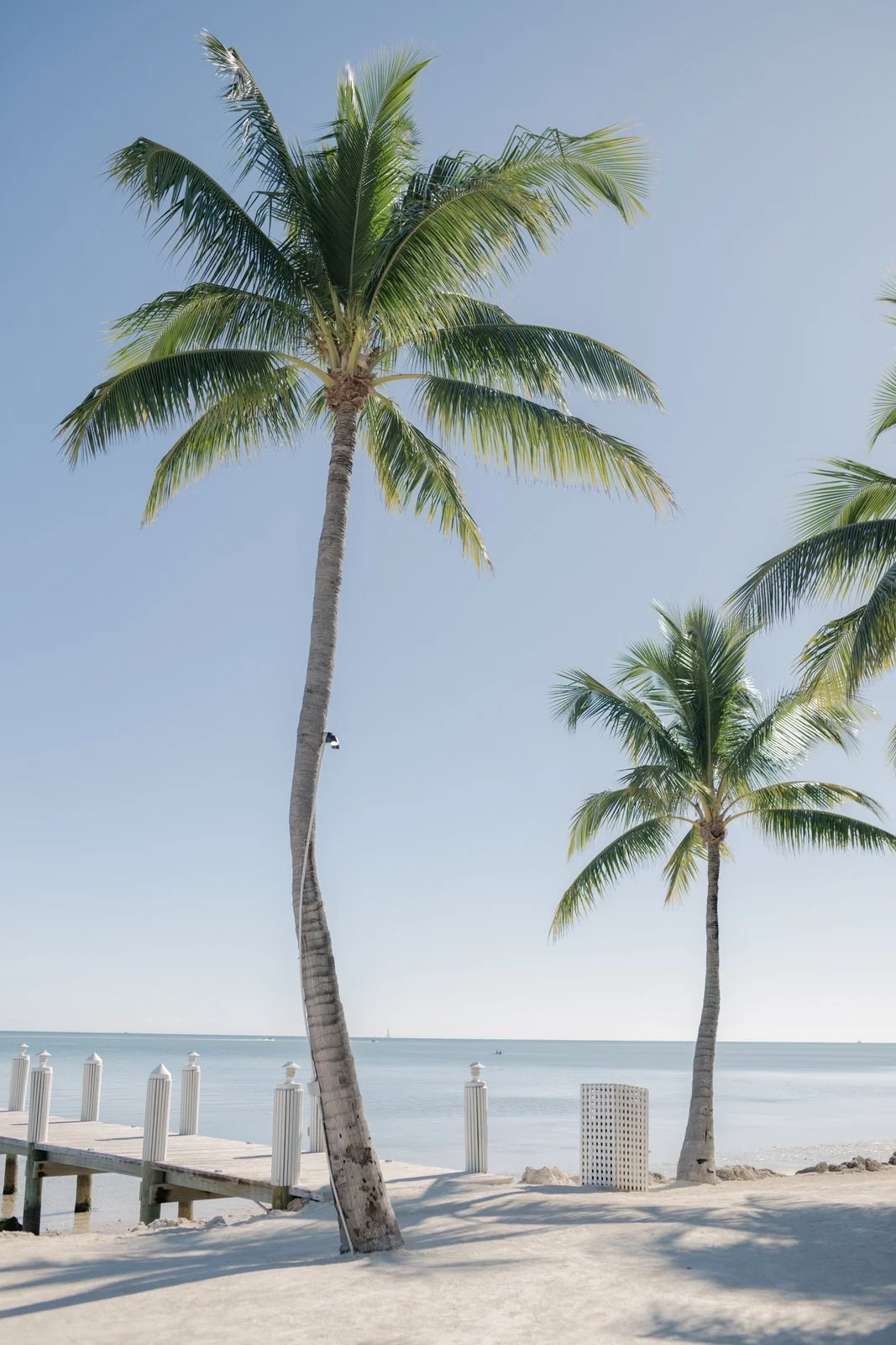 Cheeca Lodge Pierres Resturant Islamorada Wedding 6.JPG