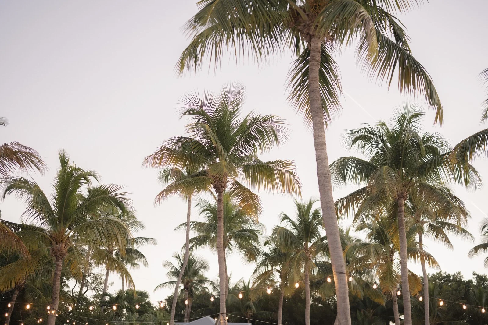 Cheeca Lodge Pierres Resturant Islamorada Wedding 124.JPG