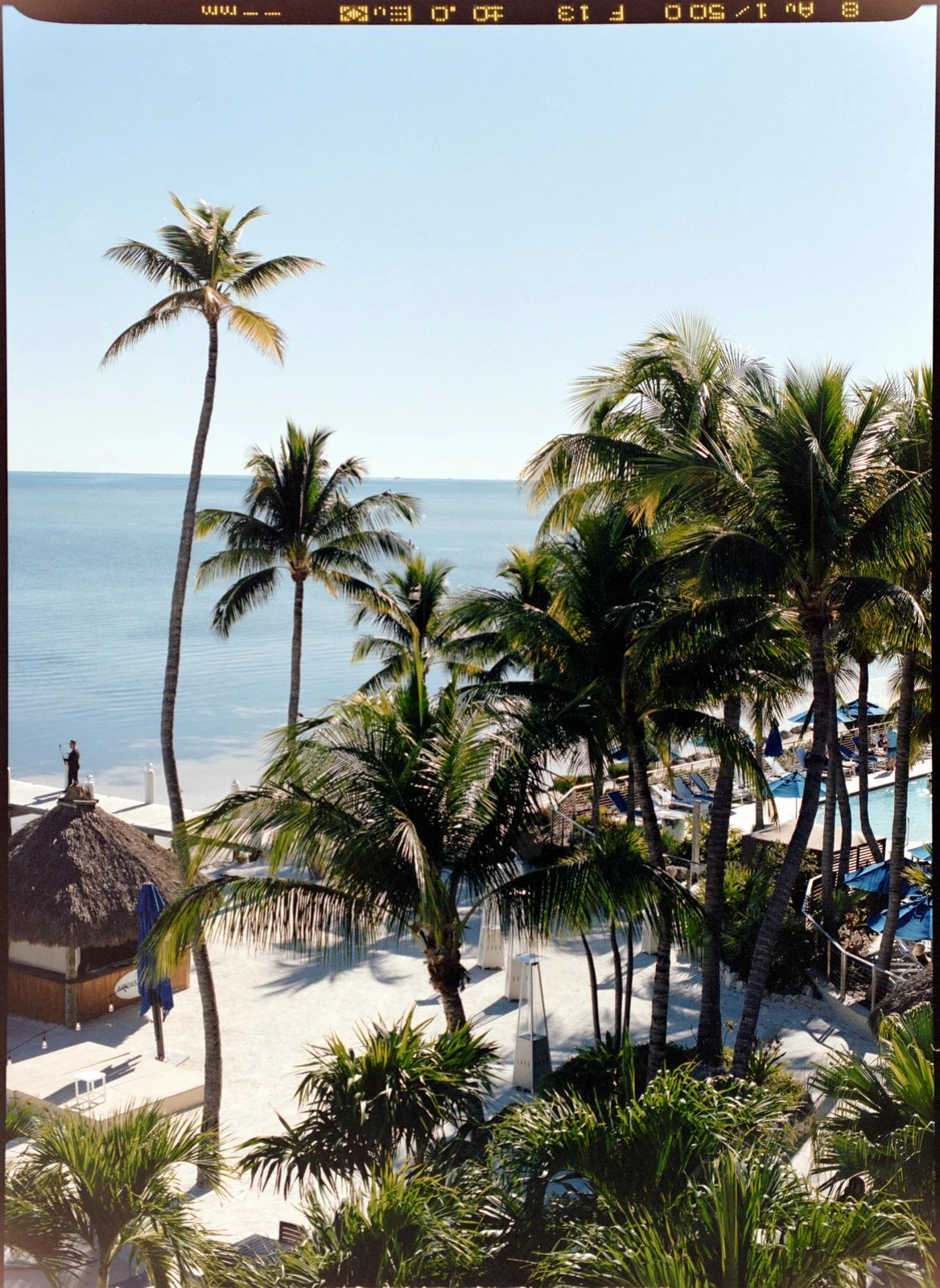 Cheeca Lodge Wedding  - Michelle Gonzalez Photography - Natalia and Jeff -921.jpg